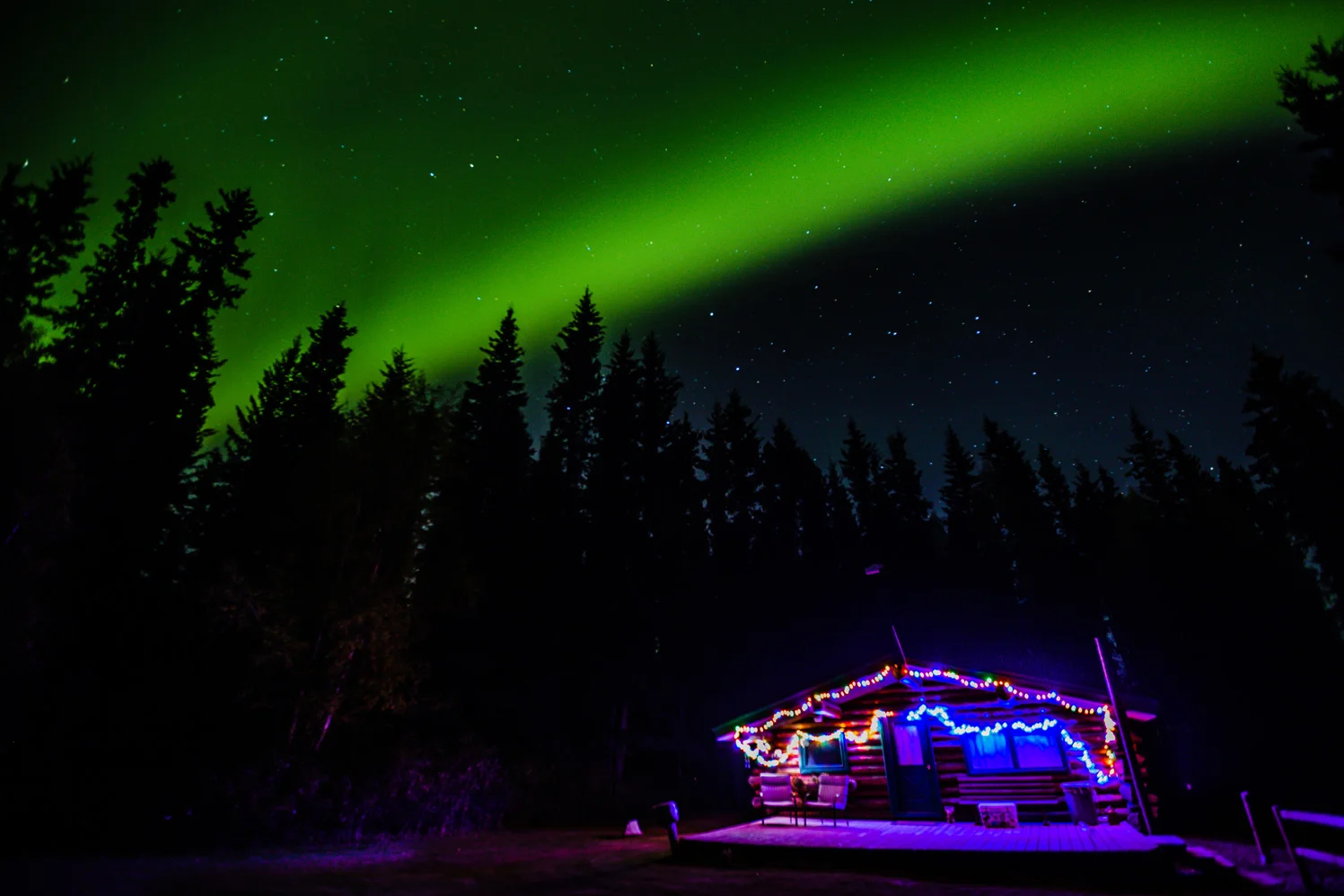 CindyGiovagnoli_Alaska_Daltin_Highway_Coldfoot_fall_fly_fishing_NorthernLights_Denali_National_Park_ArcticCircle_arctic_moose_grayling_Koyukuk_autumn_AlaskaRange-003.jpg