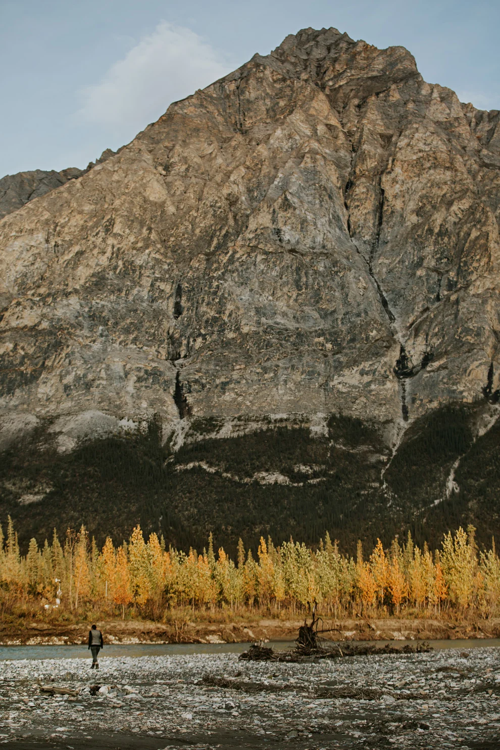 CindyGiovagnoli_Alaska_Daltin_Highway_Coldfoot_fall_fly_fishing_NorthernLights_Denali_National_Park_ArcticCircle_arctic_moose_grayling_Koyukuk_autumn_AlaskaRange-004.jpg