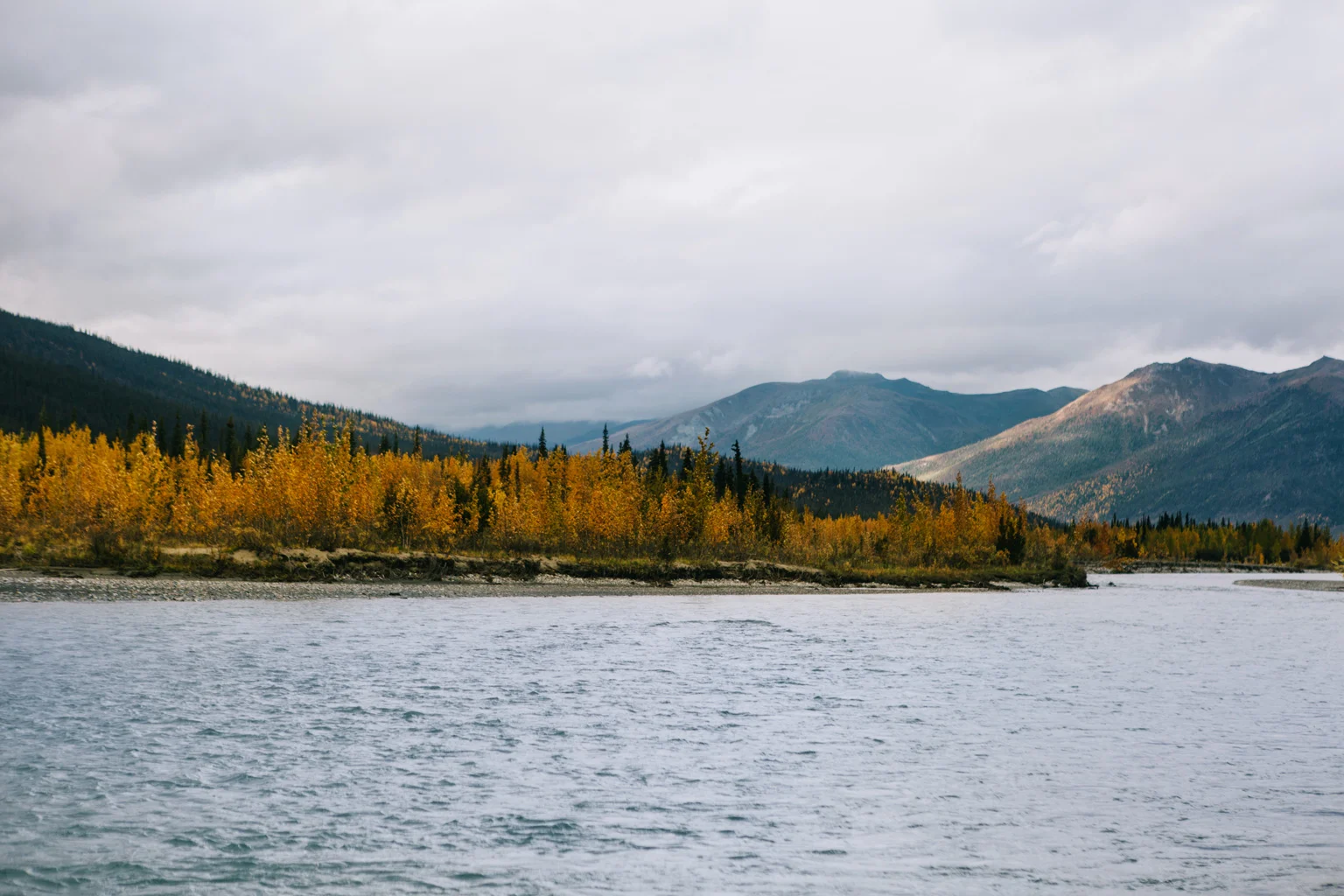 CindyGiovagnoli_Alaska_Daltin_Highway_Coldfoot_fall_fly_fishing_NorthernLights_Denali_National_Park_ArcticCircle_arctic_moose_grayling_Koyukuk_autumn_AlaskaRange-009.jpg