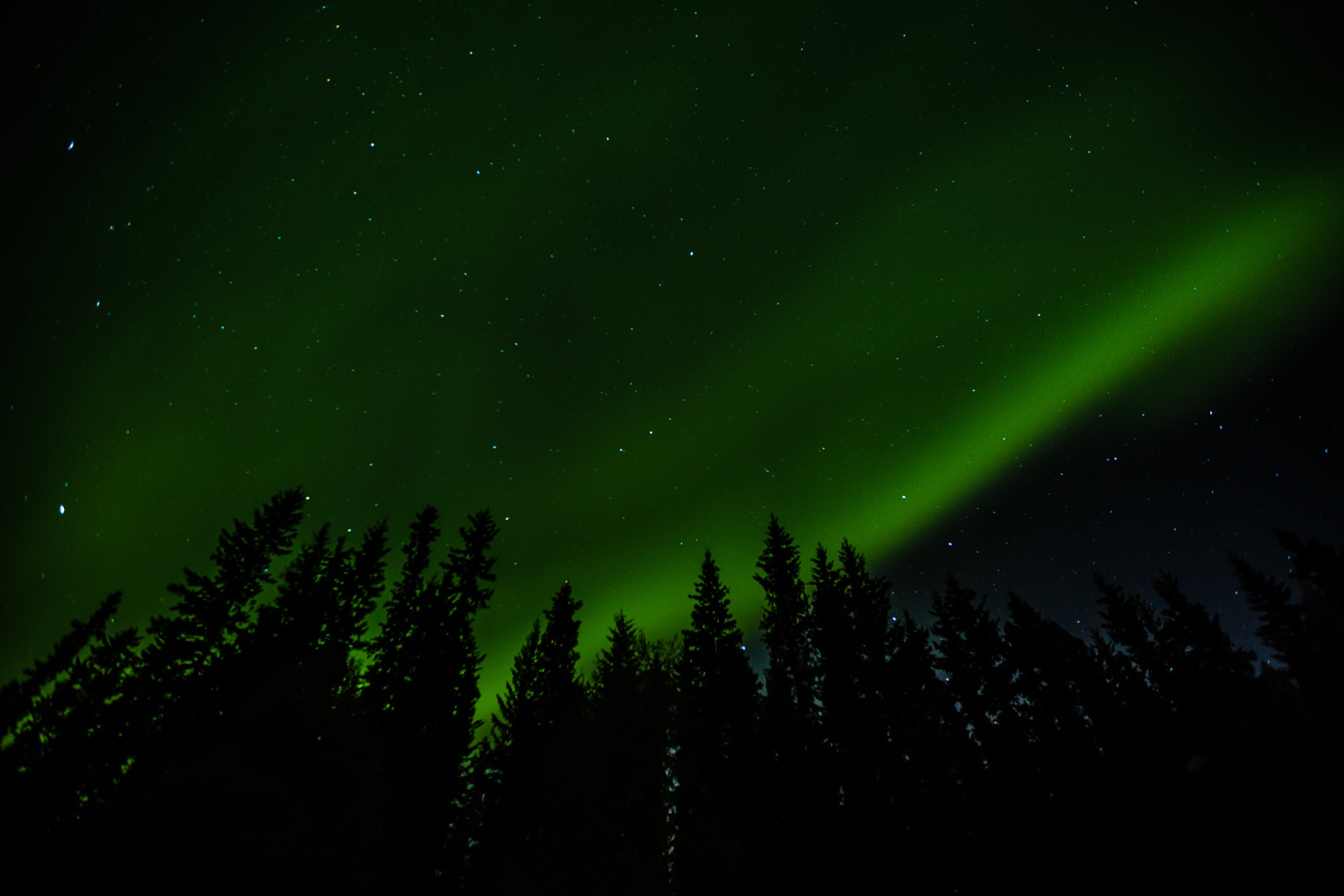 CindyGiovagnoli_Alaska_Daltin_Highway_Coldfoot_fall_fly_fishing_NorthernLights_Denali_National_Park_ArcticCircle_arctic_moose_grayling_Koyukuk_autumn_AlaskaRange-025.jpg