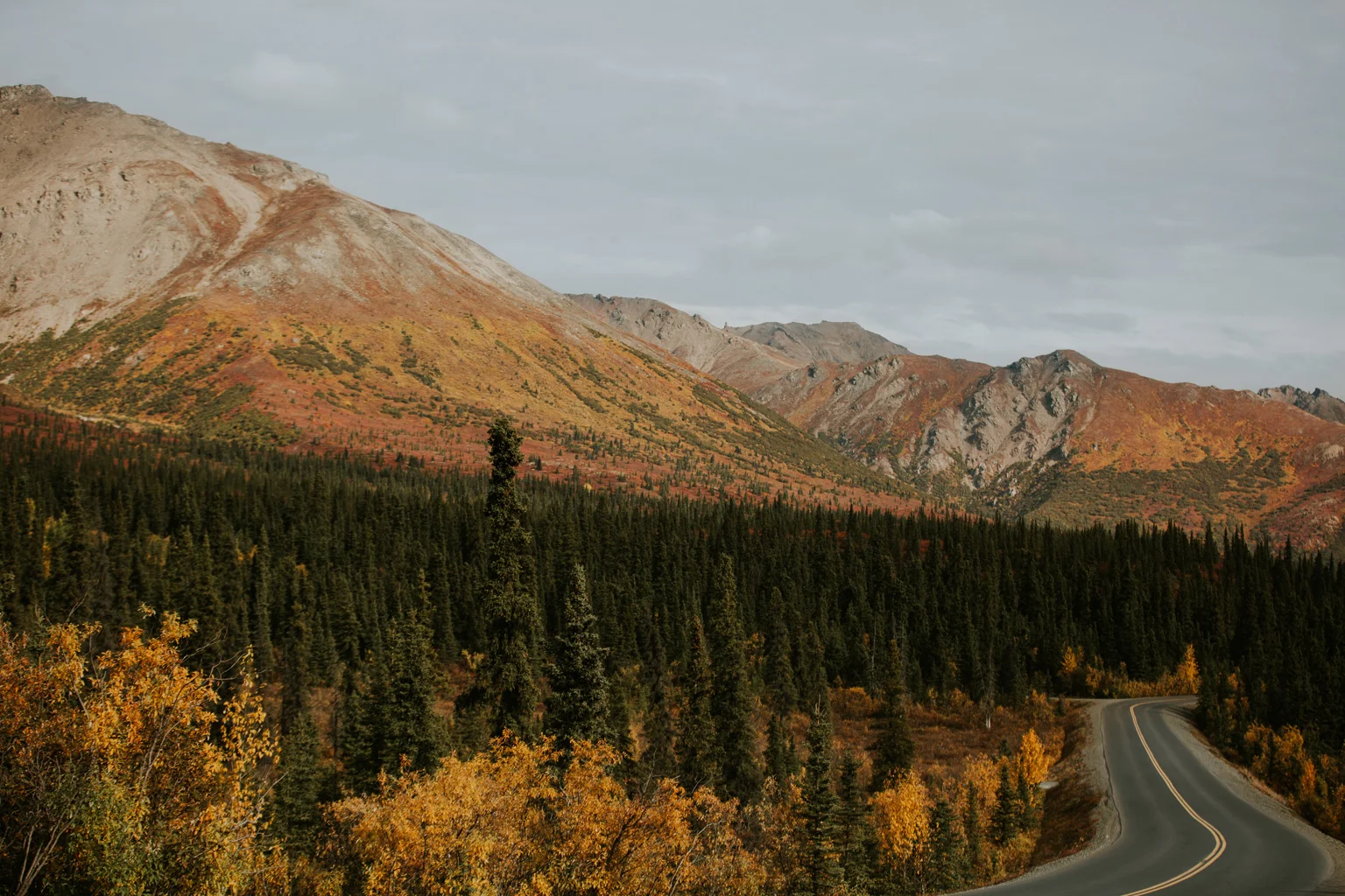 WindingRoadThroughAutumnMountains.jpg