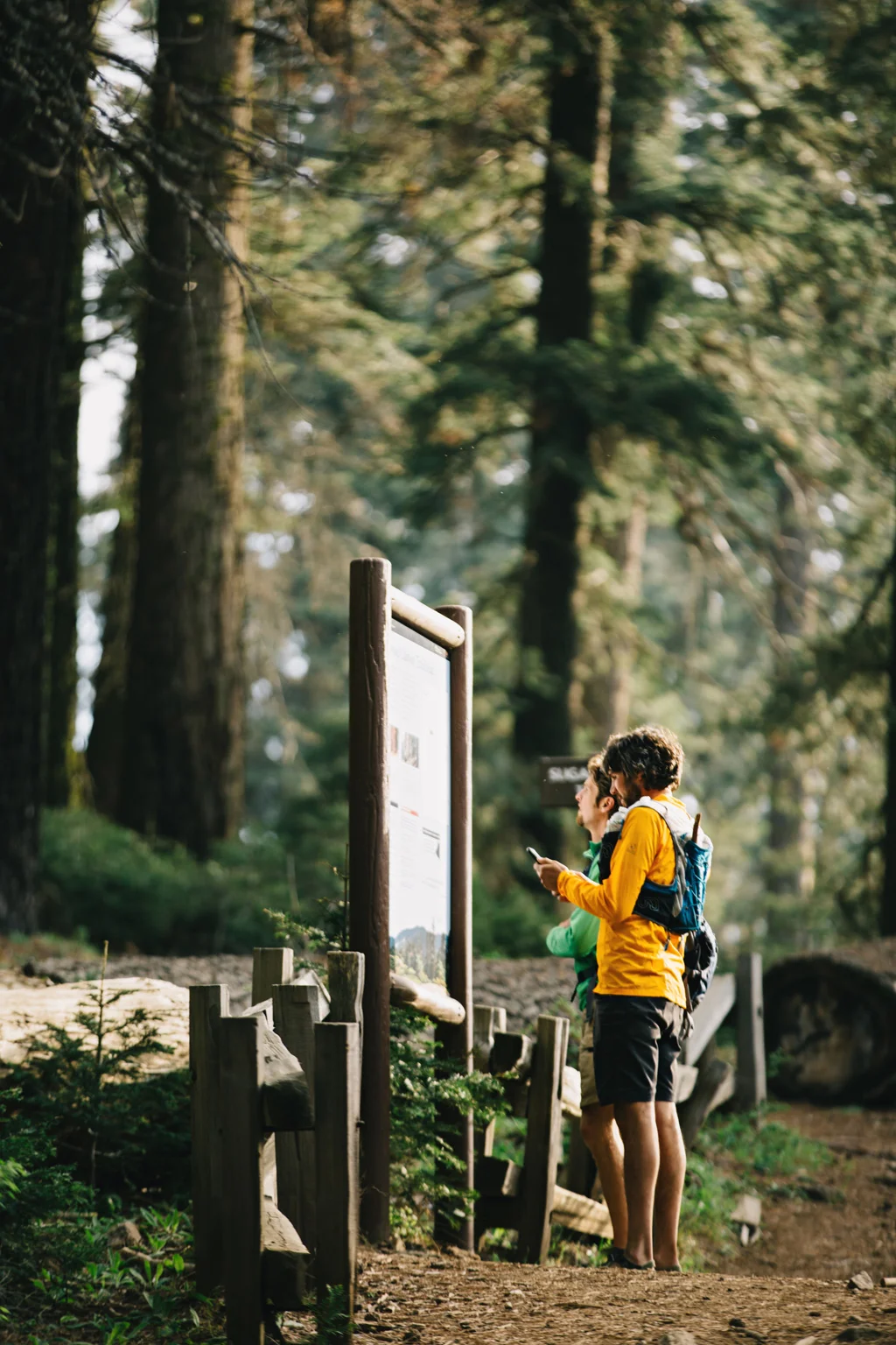 CindyGiovagnoli_Sequoia_Kings_Canyon_National_Park_spring_hiking_dogwood-025.jpg