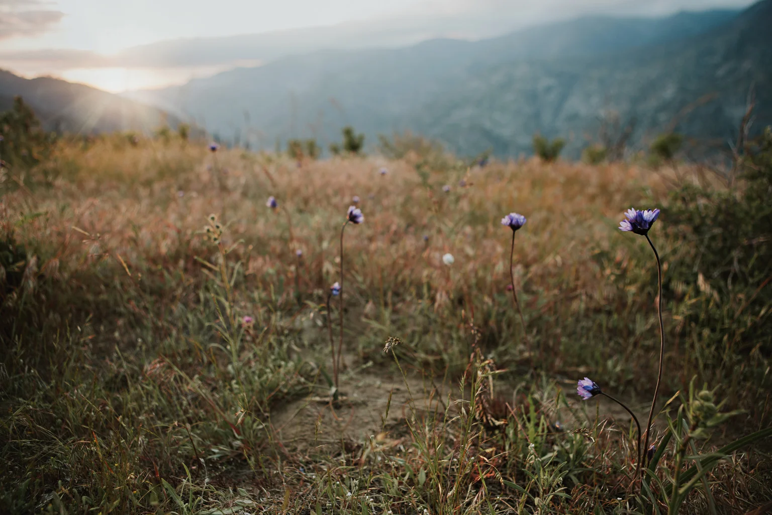 CindyGiovagnoli_Kings_Canyon_National_Park_hike_firetower_lookout_sunset-020.jpg