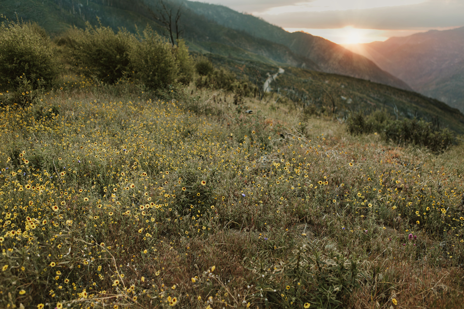 CindyGiovagnoli_Kings_Canyon_National_Park_hike_firetower_lookout_sunset-022.jpg