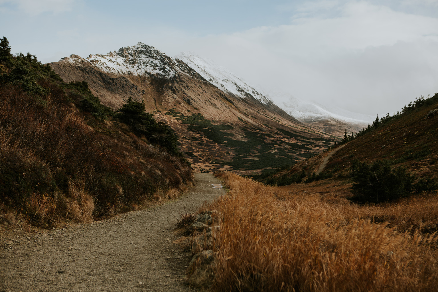 CindyGiovagnoli_Anchorage_Alaska_Flattop_mountain_hike_snocapped-001.jpg