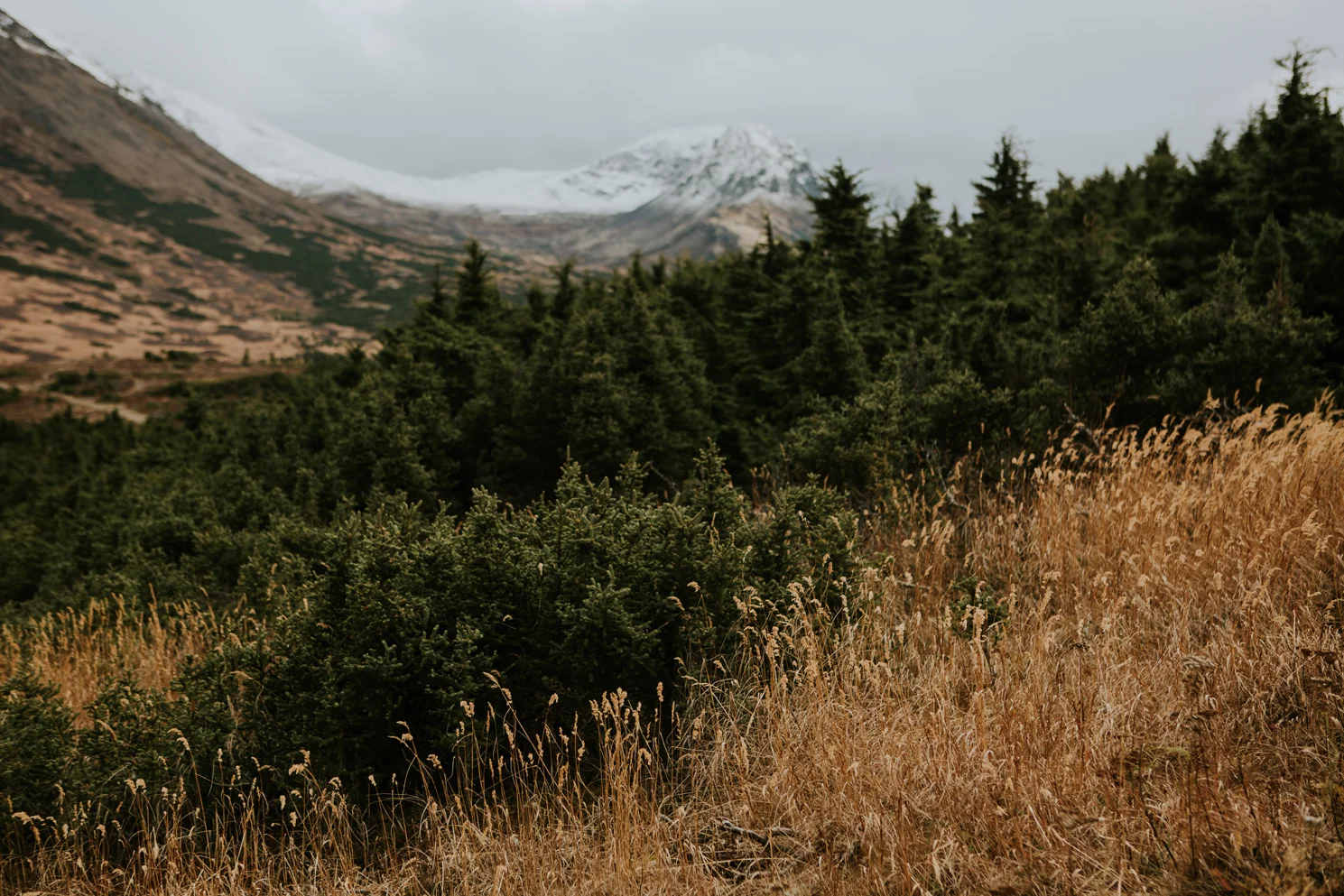 CindyGiovagnoli_Anchorage_Alaska_Flattop_mountain_hike_snocapped-006.jpg