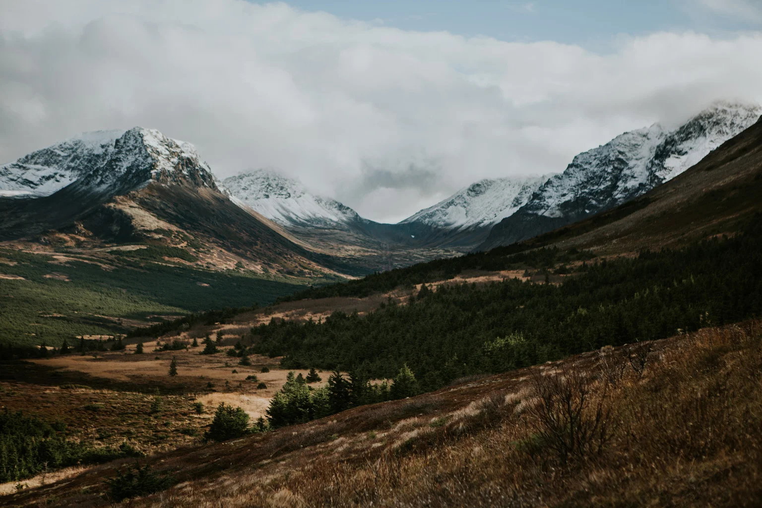 CindyGiovagnoli_Anchorage_Alaska_Flattop_mountain_hike_snocapped-008.jpg