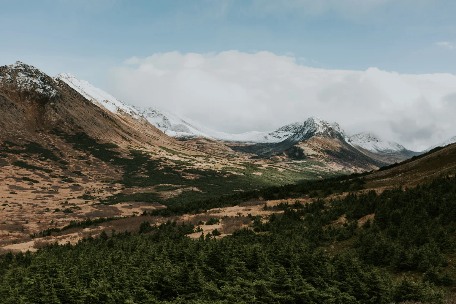 CindyGiovagnoli_Anchorage_Alaska_Flattop_mountain_hike_snocapped-011.jpg