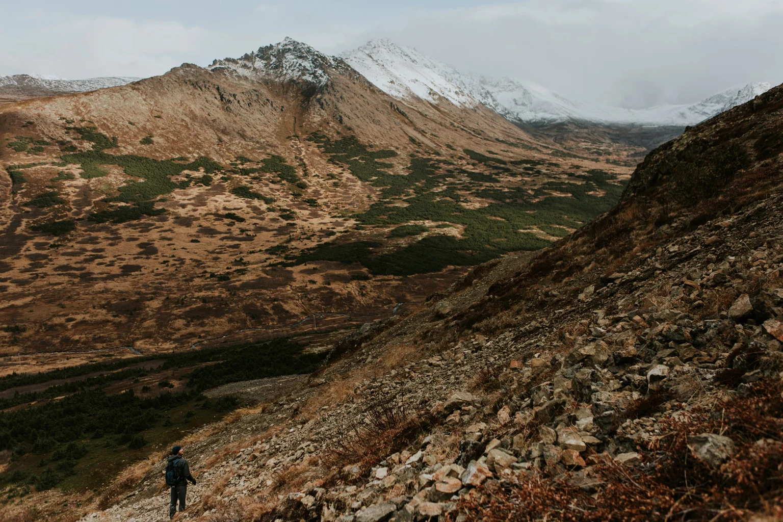 CindyGiovagnoli_Anchorage_Alaska_Flattop_mountain_hike_snocapped-013.jpg