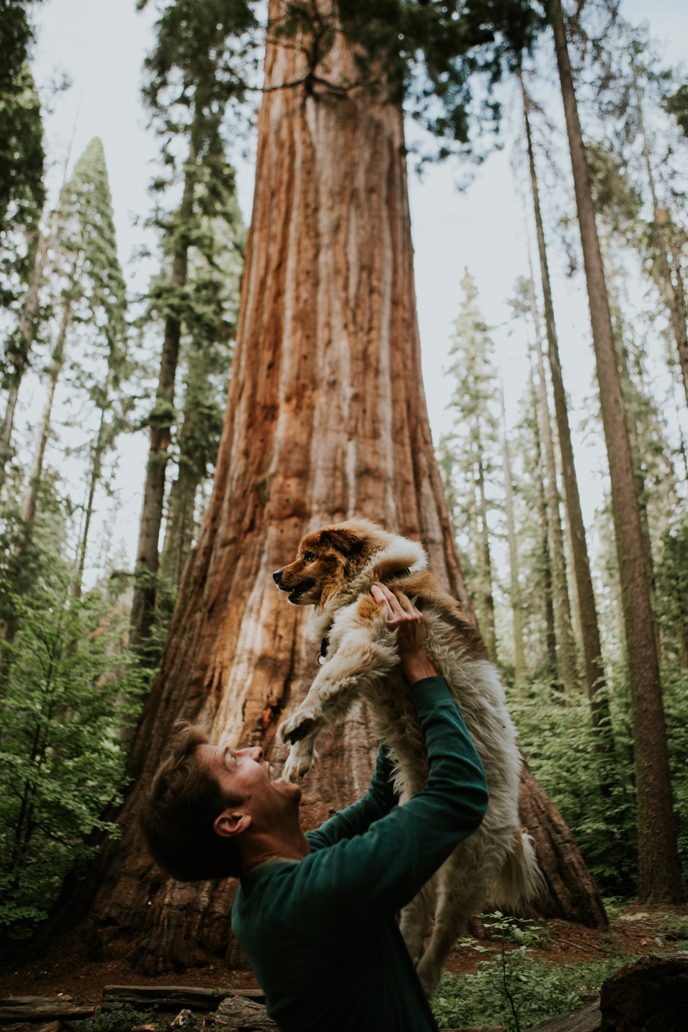 CindyGiovagnoli_SantCruz_SanJose_SanFrancisco_NelderGrove_sea_lions_boardwalk_hapas_brewery_sourdough_ocean_half_moon_bay_California-075.jpg