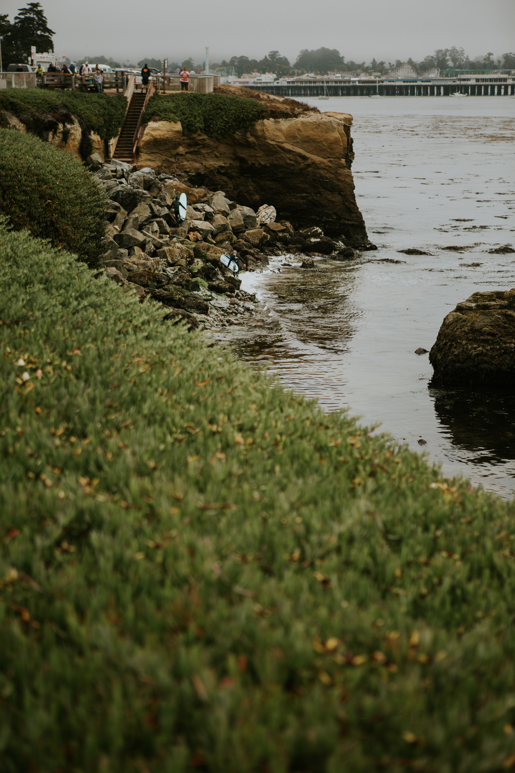 CindyGiovagnoli_SantCruz_SanJose_SanFrancisco_NelderGrove_sea_lions_boardwalk_hapas_brewery_sourdough_ocean_half_moon_bay_California-077.jpg