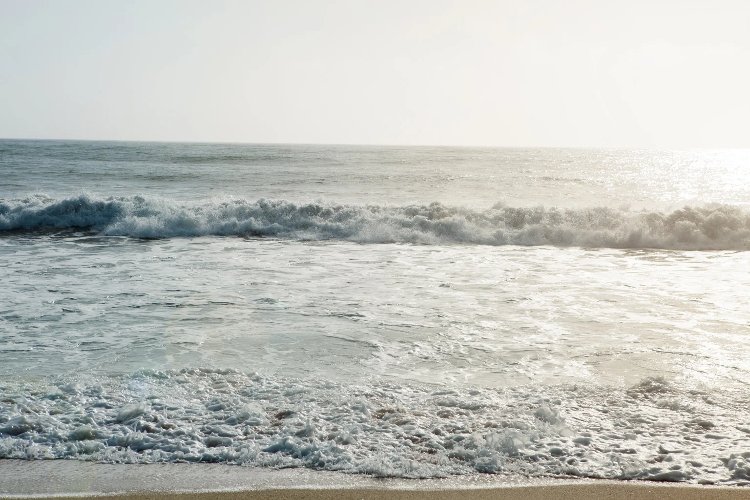 CindyGiovagnoli_SantCruz_SanJose_SanFrancisco_NelderGrove_sea_lions_boardwalk_hapas_brewery_sourdough_ocean_half_moon_bay_California-079.jpg
