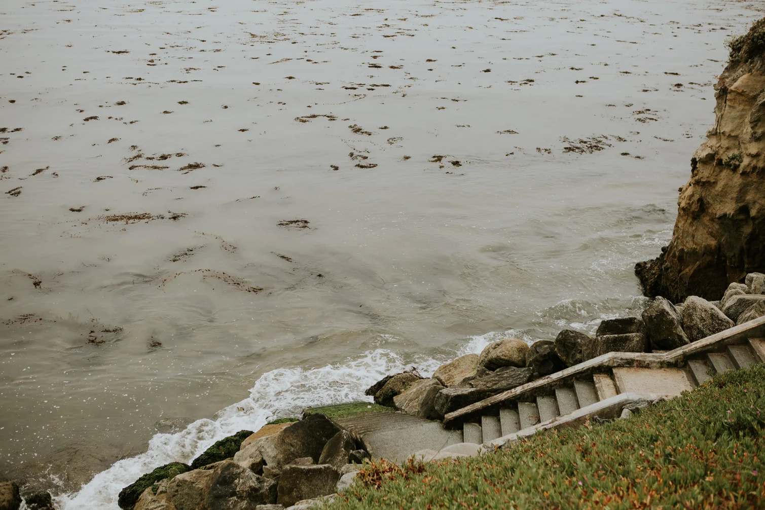 CindyGiovagnoli_SantCruz_SanJose_SanFrancisco_NelderGrove_sea_lions_boardwalk_hapas_brewery_sourdough_ocean_half_moon_bay_California-093.jpg