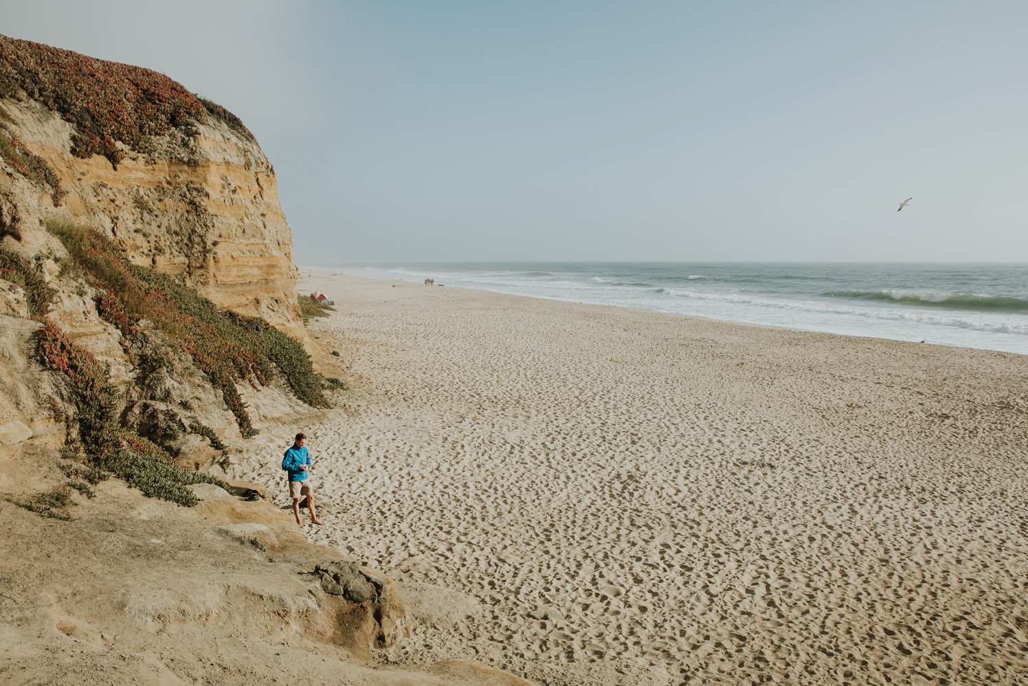 CindyGiovagnoli_SantCruz_SanJose_SanFrancisco_NelderGrove_sea_lions_boardwalk_hapas_brewery_sourdough_ocean_half_moon_bay_California-096.jpg