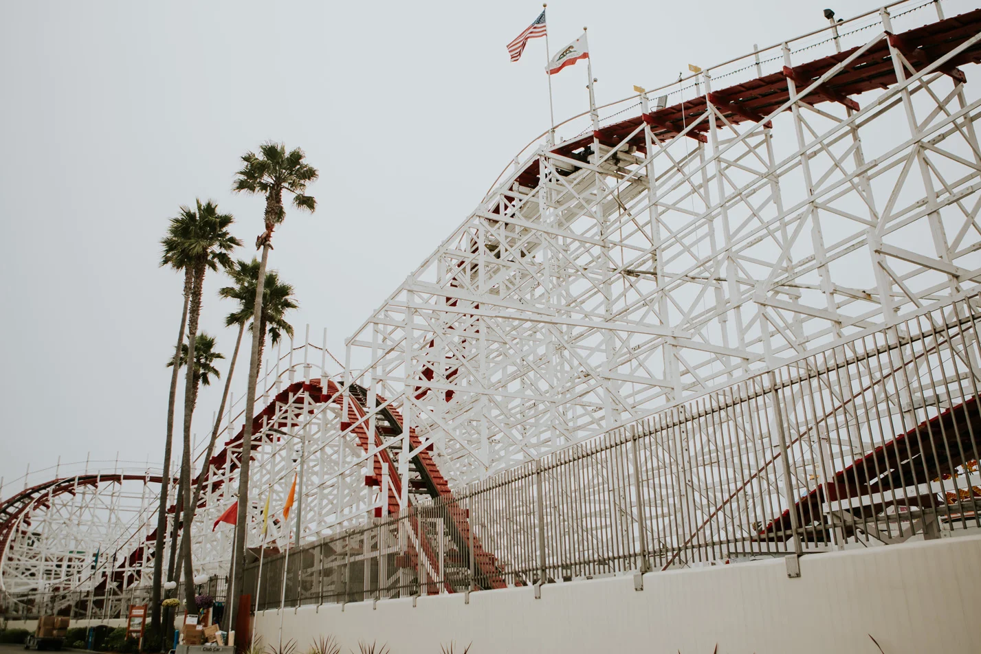 CindyGiovagnoli_SantCruz_SanJose_SanFrancisco_NelderGrove_sea_lions_boardwalk_hapas_brewery_sourdough_ocean_half_moon_bay_California-100.jpg