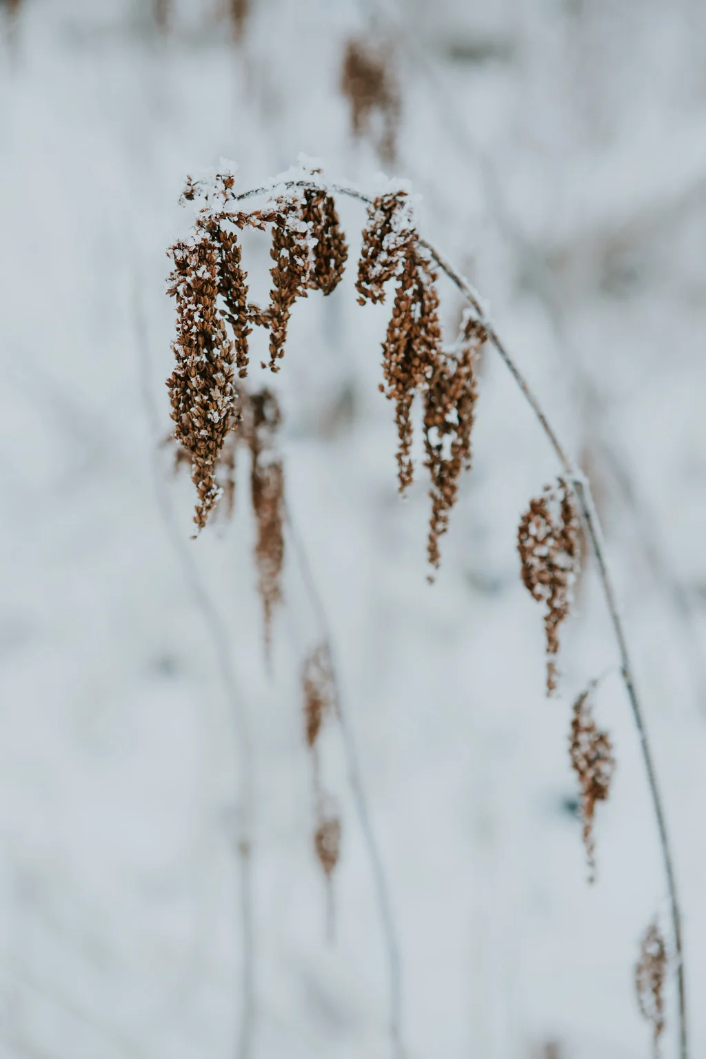 CindyGiovagnoli_hiking_glacier_Anchorage_snow_winter_ByronGlacier_Alaska-007.jpg