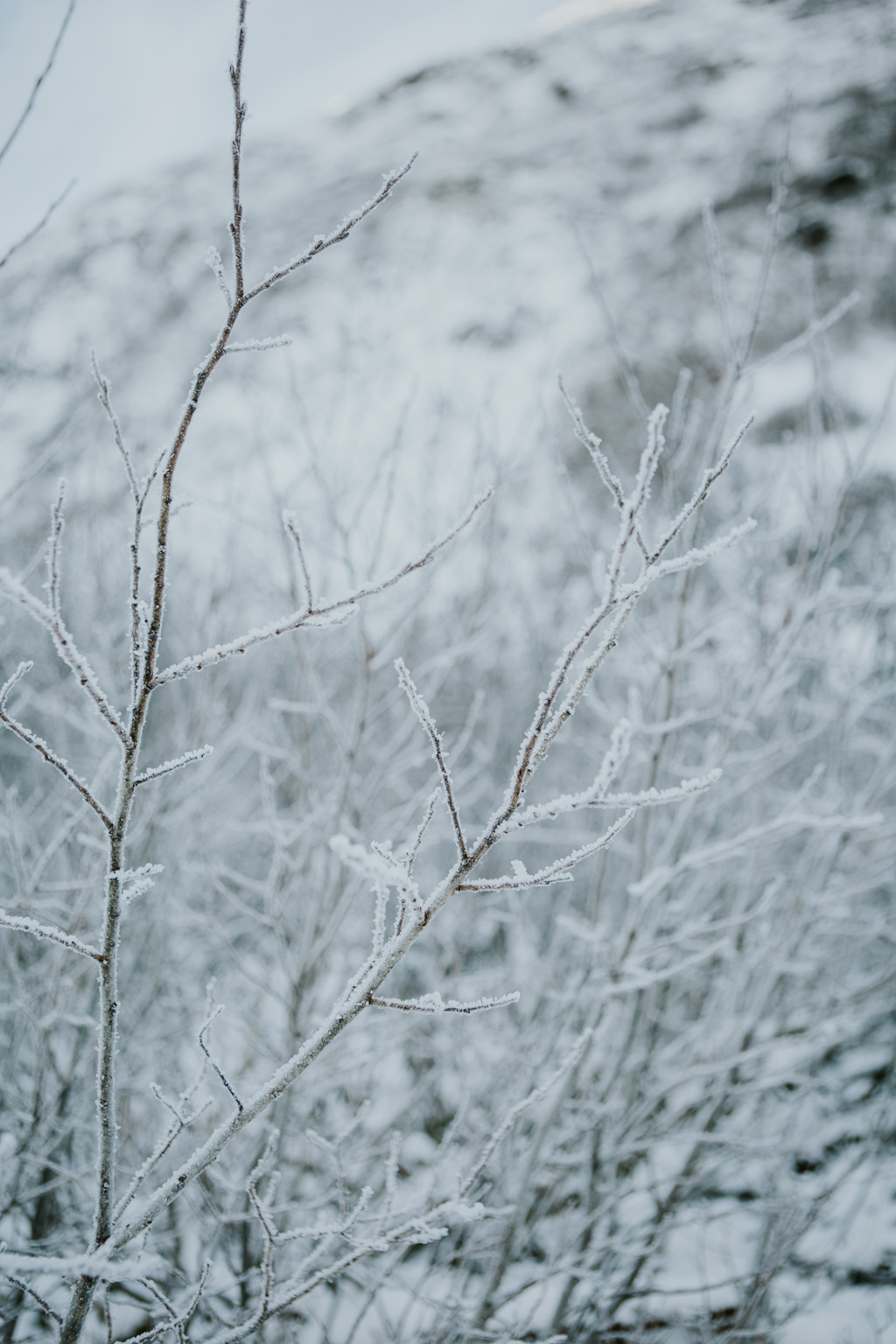 CindyGiovagnoli_hiking_glacier_Anchorage_snow_winter_ByronGlacier_Alaska-008.jpg