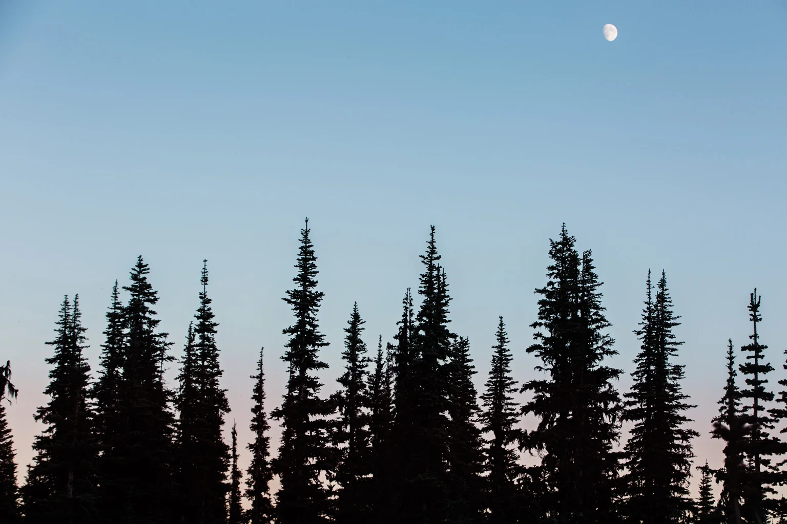 Cindy_Giovagnoli_Mount_Rainier_National_Park_Washington_PNW_Pacific_Northwest-003.jpg