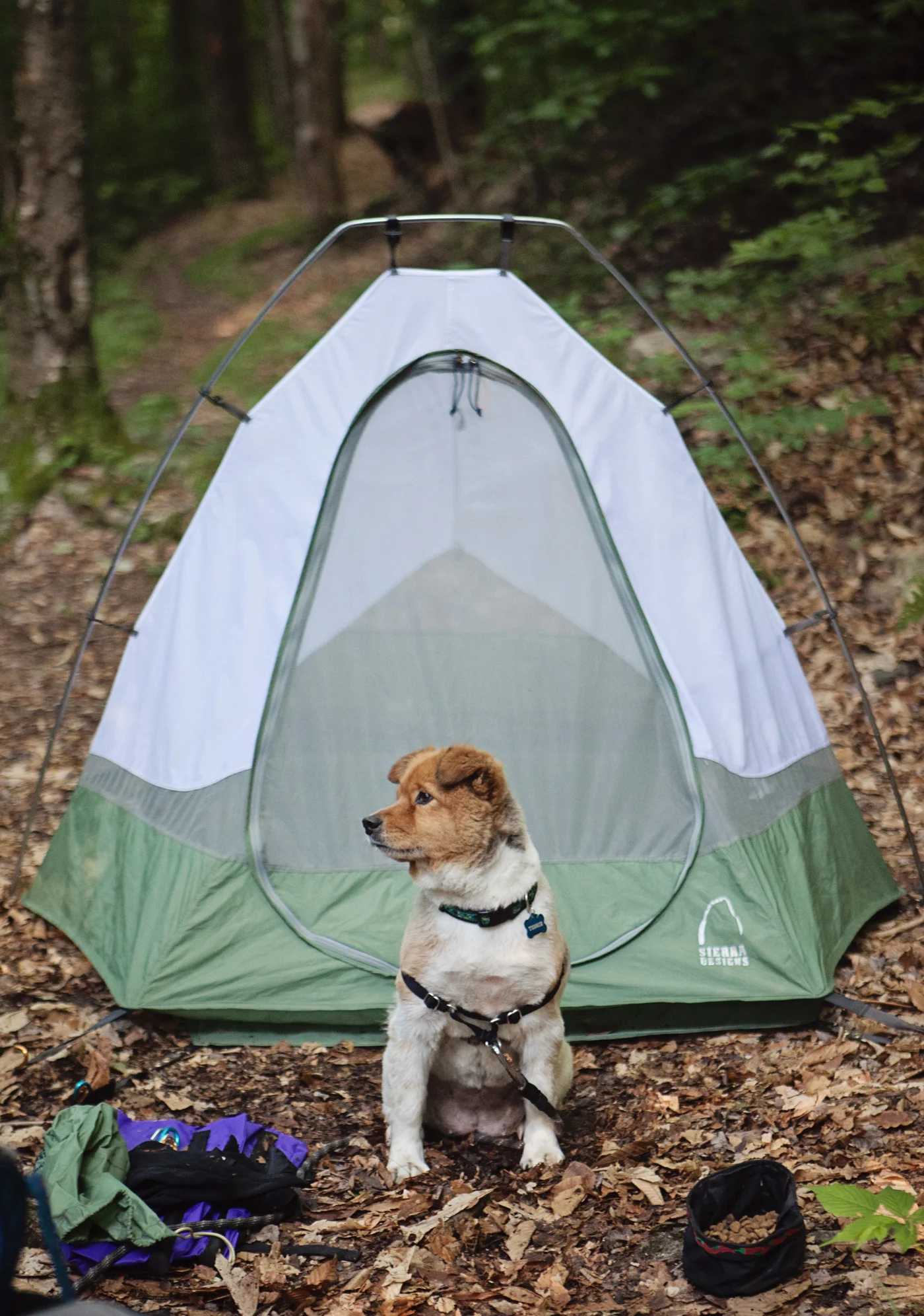 Tessie-014.jpg