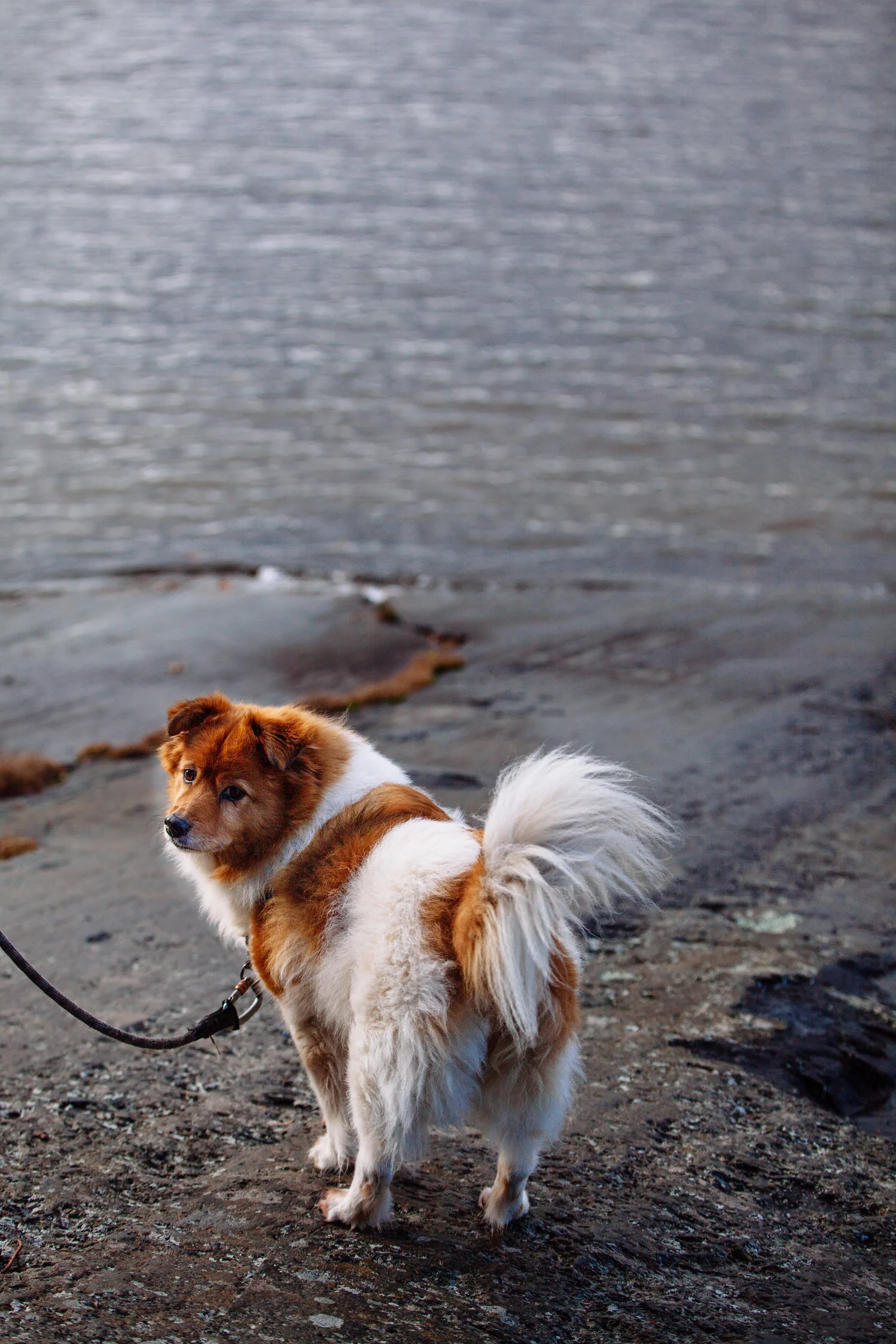 Tessie-016.jpg