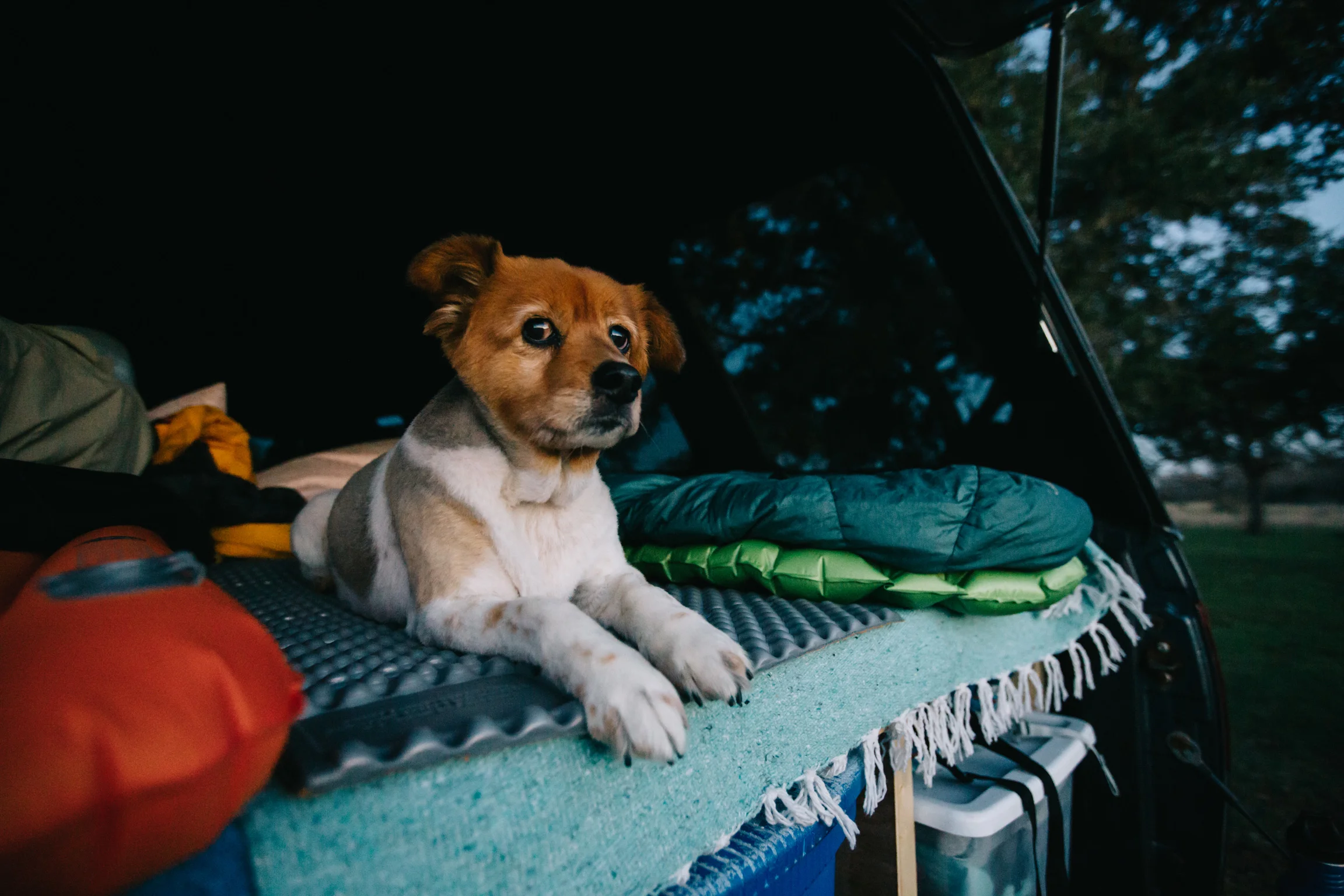 Tessie-052.jpg