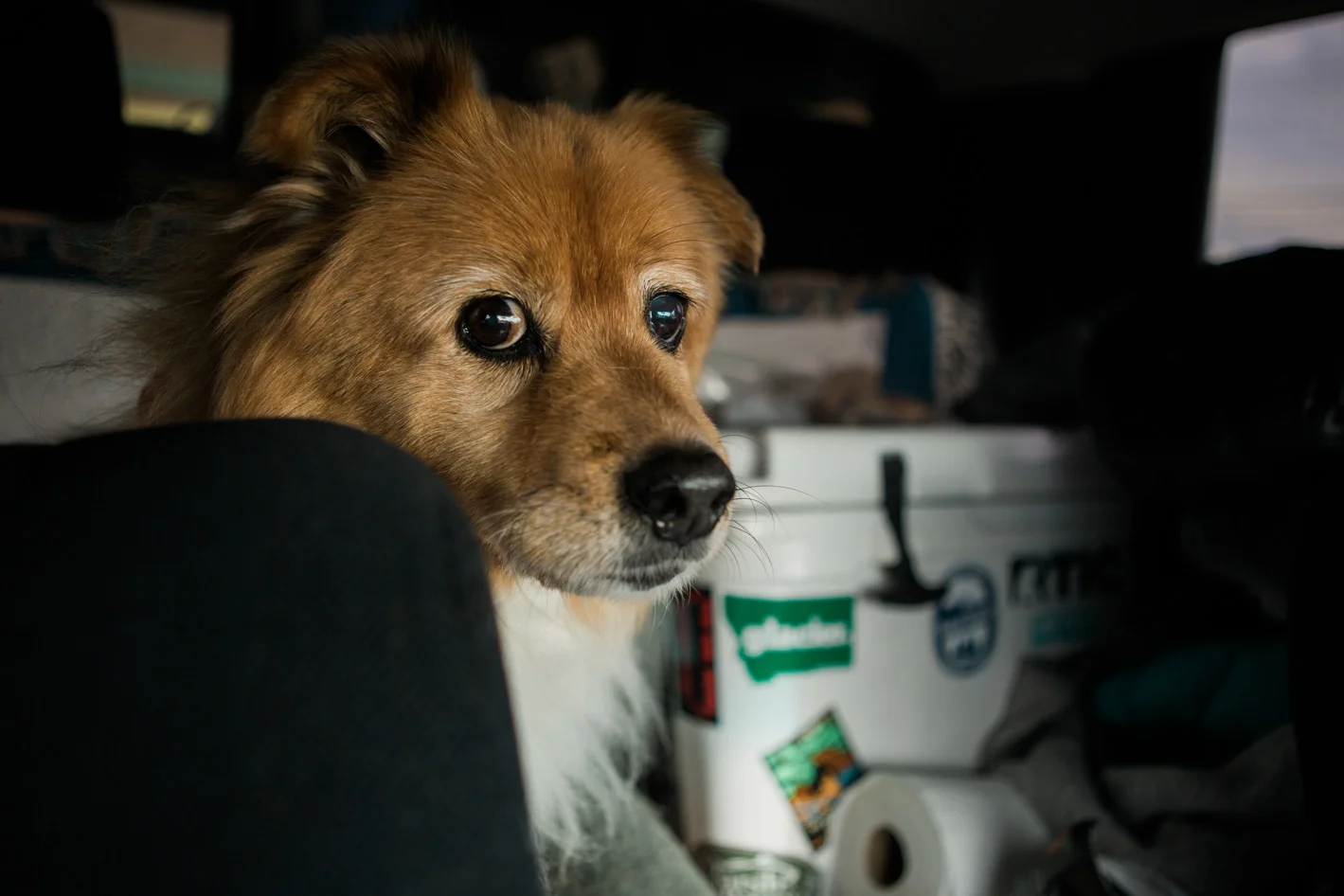 Tessie-054.jpg