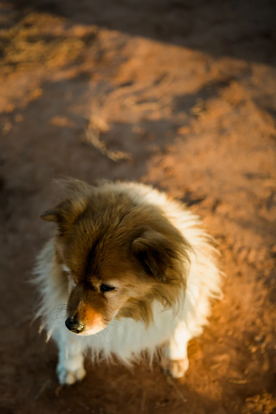 Tessie-060.jpg
