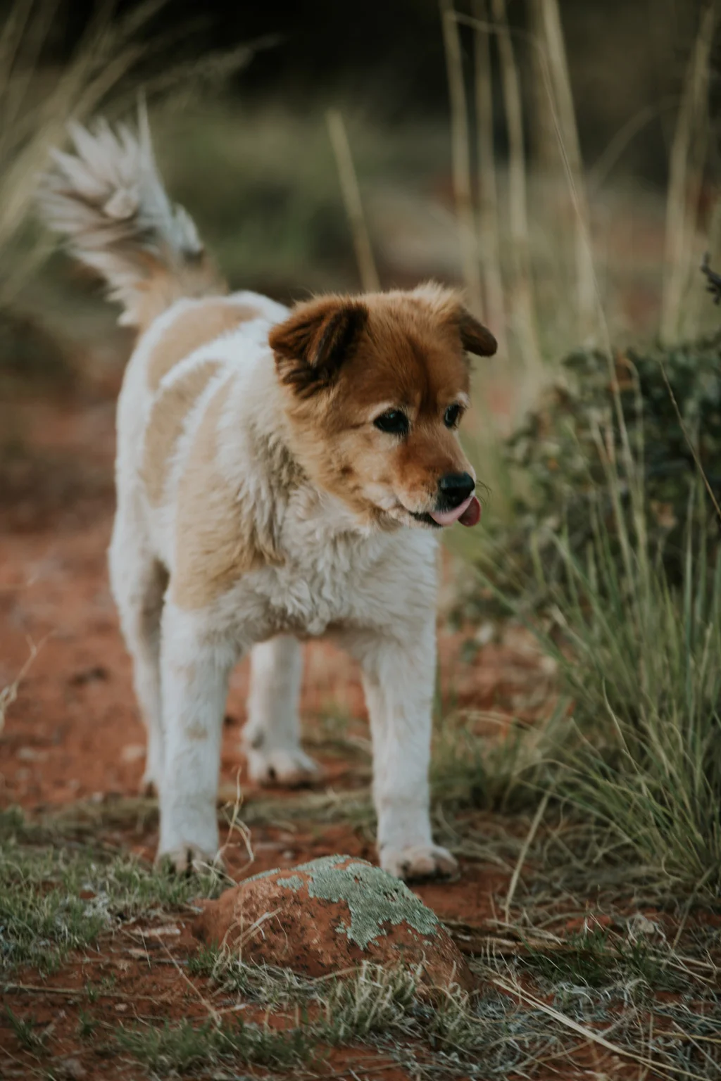 Tessie-088.jpg