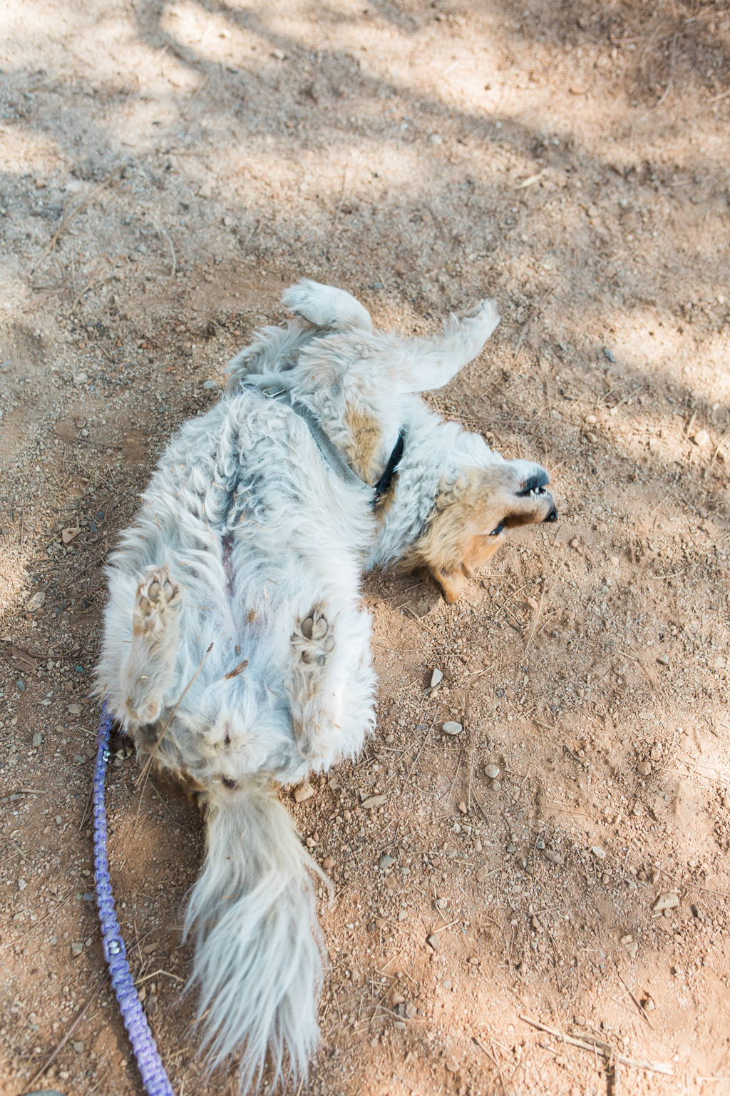 Tessie-087.jpg