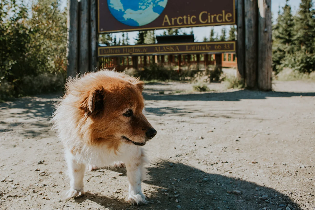 Tessie-104.jpg