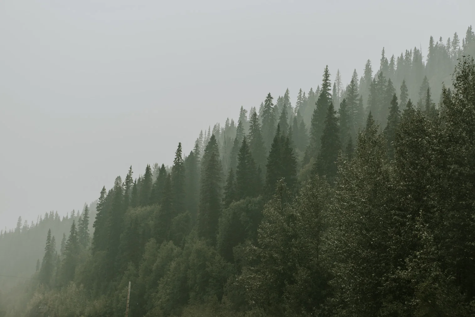 CindyGiovagnoli_British_Columbia_Yukon_Alaska_Canadian_Rockies_mountains_roadtrip--005.jpg