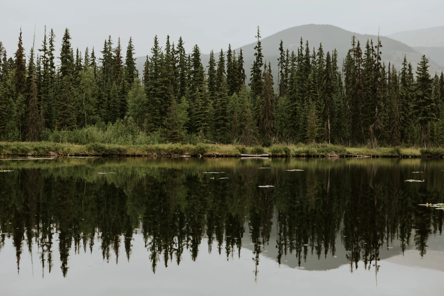 CindyGiovagnoli_British_Columbia_Yukon_Alaska_Canadian_Rockies_mountains_roadtrip--012.jpg