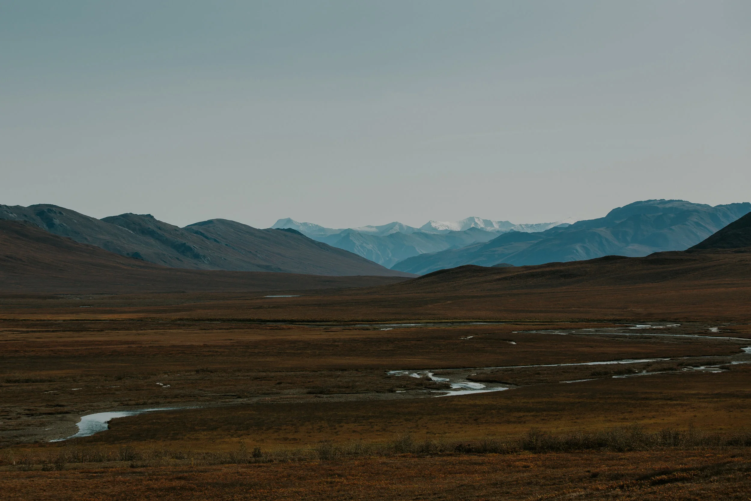 CindyGiovagnoli_Alaska_KoyukukRiver_SukakpakMountain_JimRiver_ArcticCircle_fly_fishing_September-003.jpg