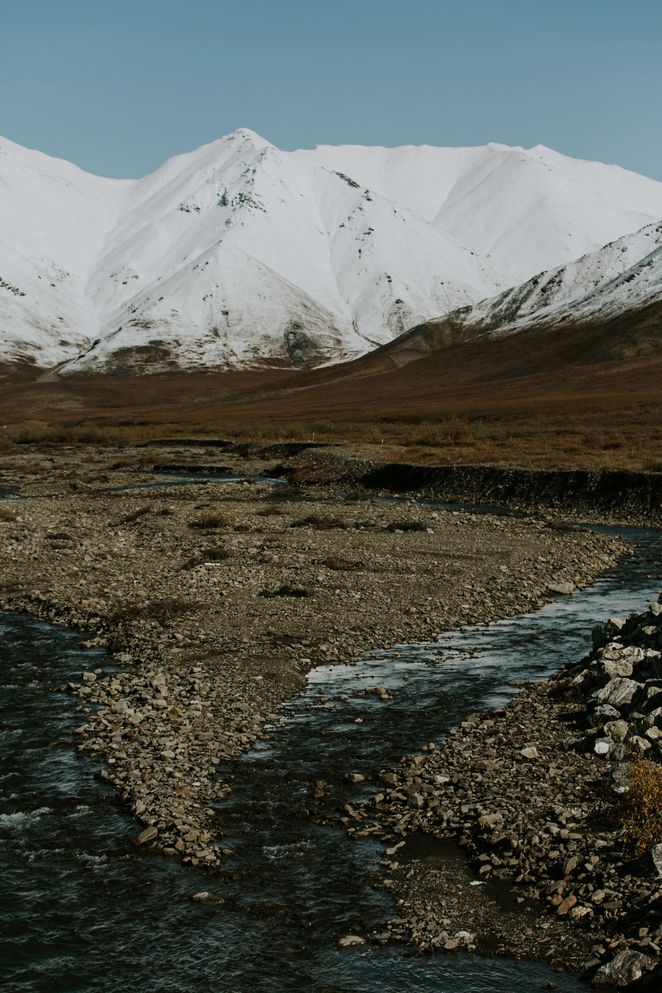 CindyGiovagnoli_Alaska_KoyukukRiver_SukakpakMountain_JimRiver_ArcticCircle_fly_fishing_September-004.jpg