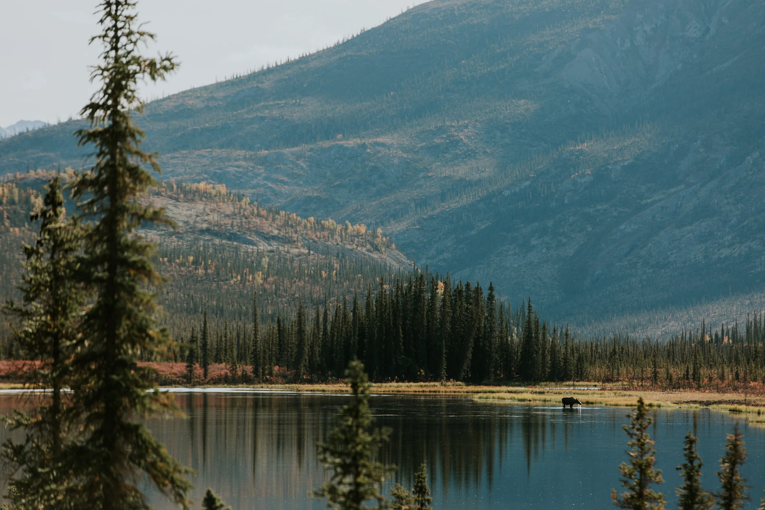 CindyGiovagnoli_Alaska_KoyukukRiver_SukakpakMountain_JimRiver_ArcticCircle_fly_fishing_September-008.jpg