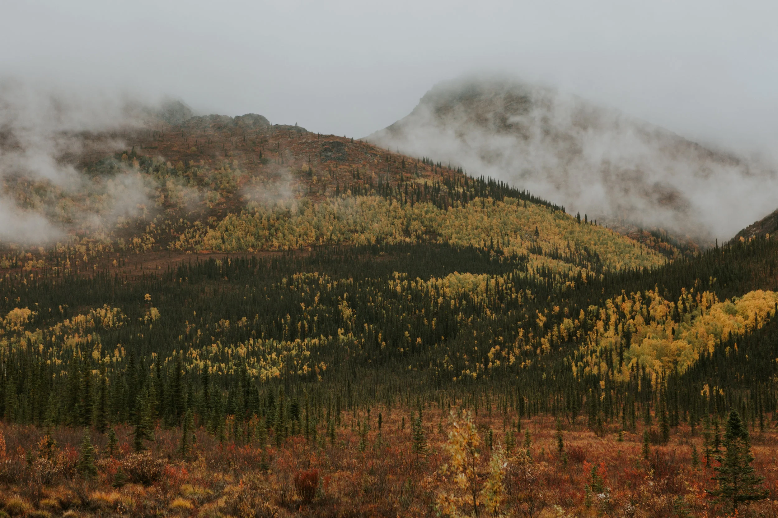 CindyGiovagnoli_Alaska_KoyukukRiver_SukakpakMountain_JimRiver_ArcticCircle_fly_fishing_September-026.jpg