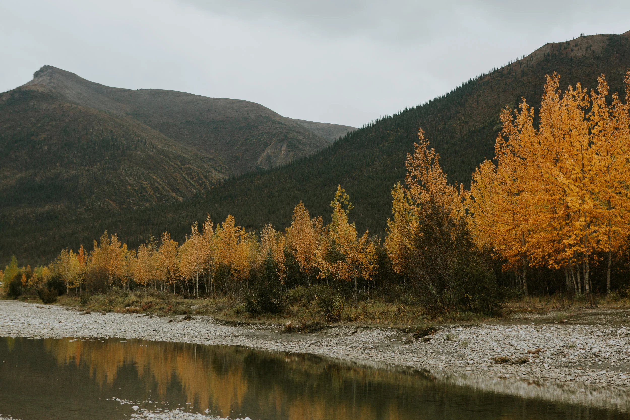 CindyGiovagnoli_Alaska_KoyukukRiver_SukakpakMountain_JimRiver_ArcticCircle_fly_fishing_September-025.jpg