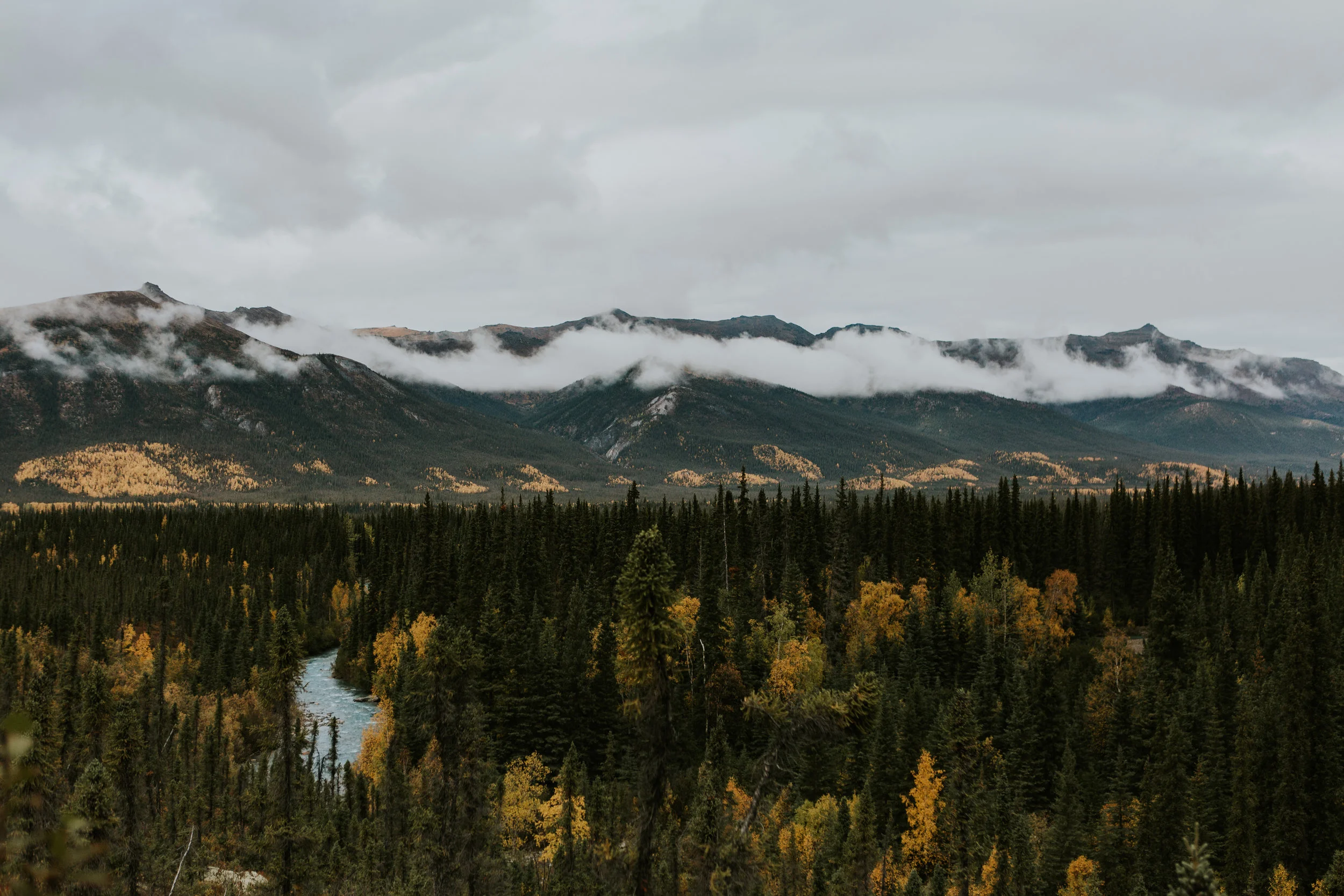 CindyGiovagnoli_Alaska_KoyukukRiver_SukakpakMountain_JimRiver_ArcticCircle_fly_fishing_September-028.jpg