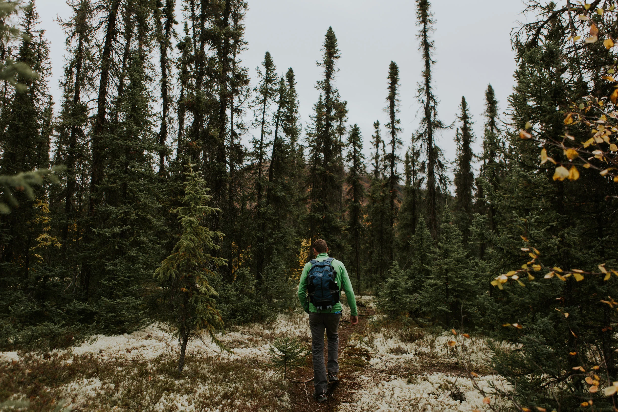 CindyGiovagnoli_Alaska_KoyukukRiver_SukakpakMountain_JimRiver_ArcticCircle_fly_fishing_September-027.jpg