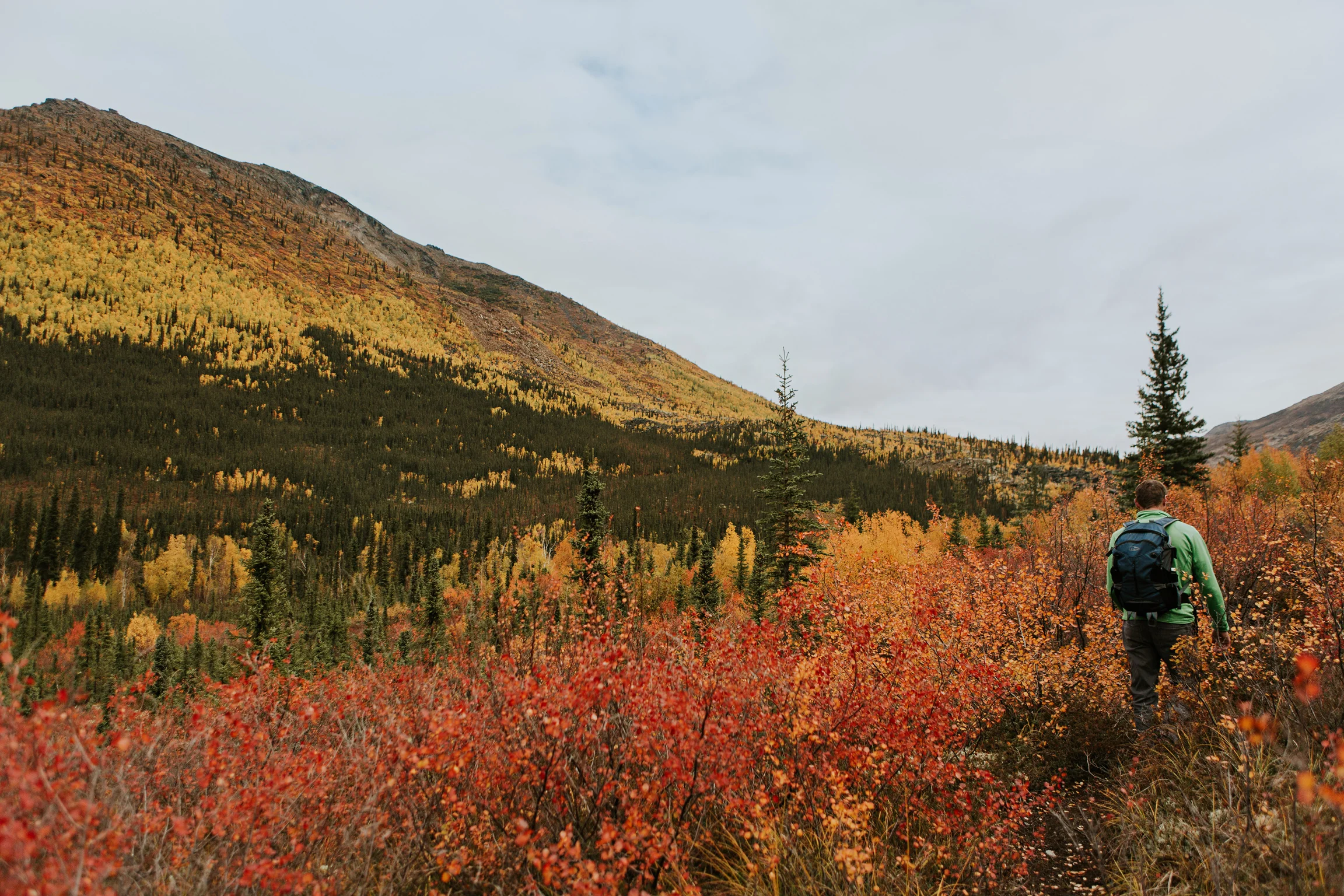 CindyGiovagnoli_Alaska_KoyukukRiver_SukakpakMountain_JimRiver_ArcticCircle_fly_fishing_September-030.jpg