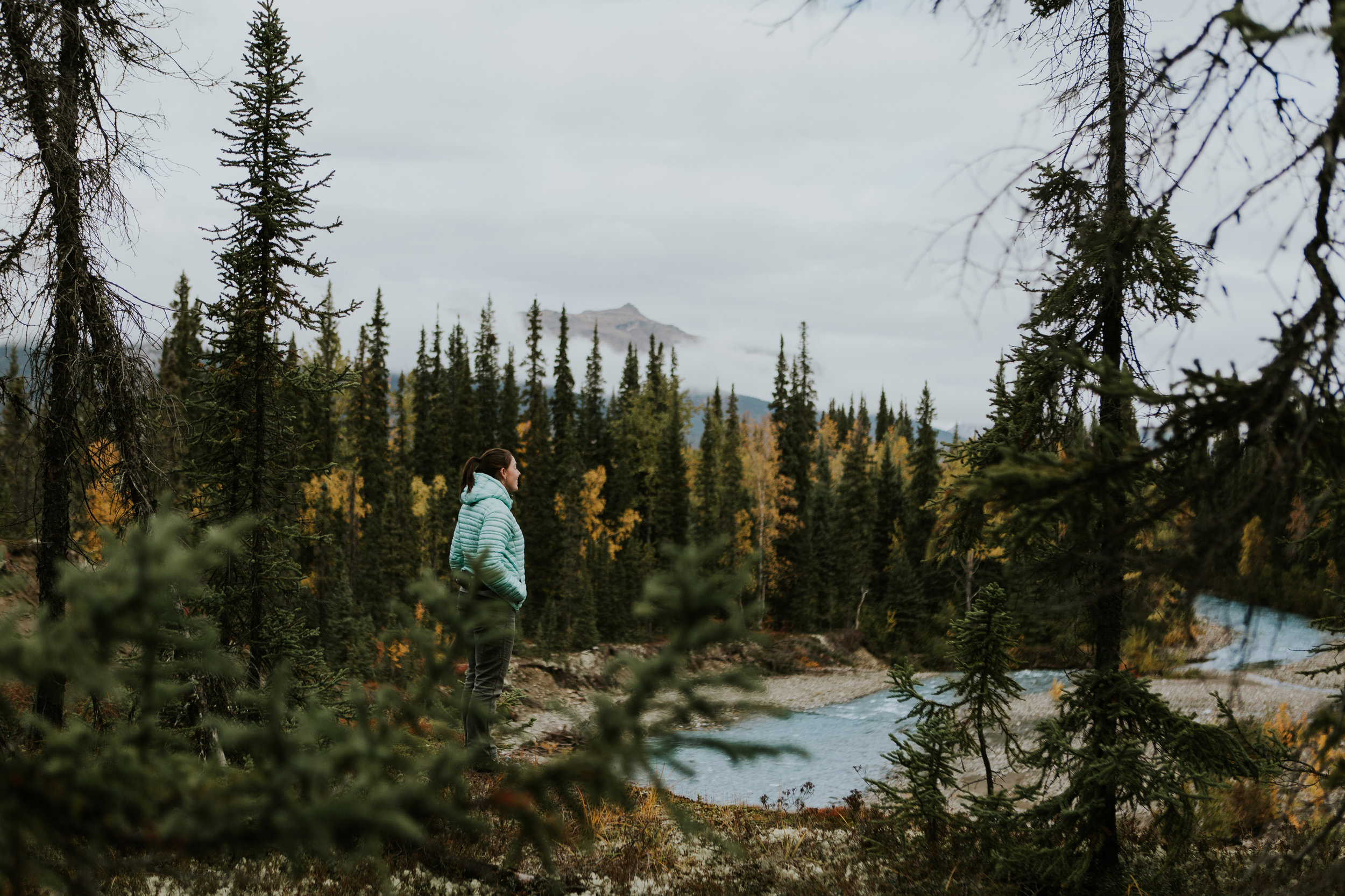 CindyGiovagnoli_Alaska_KoyukukRiver_SukakpakMountain_JimRiver_ArcticCircle_fly_fishing_September-031.jpg
