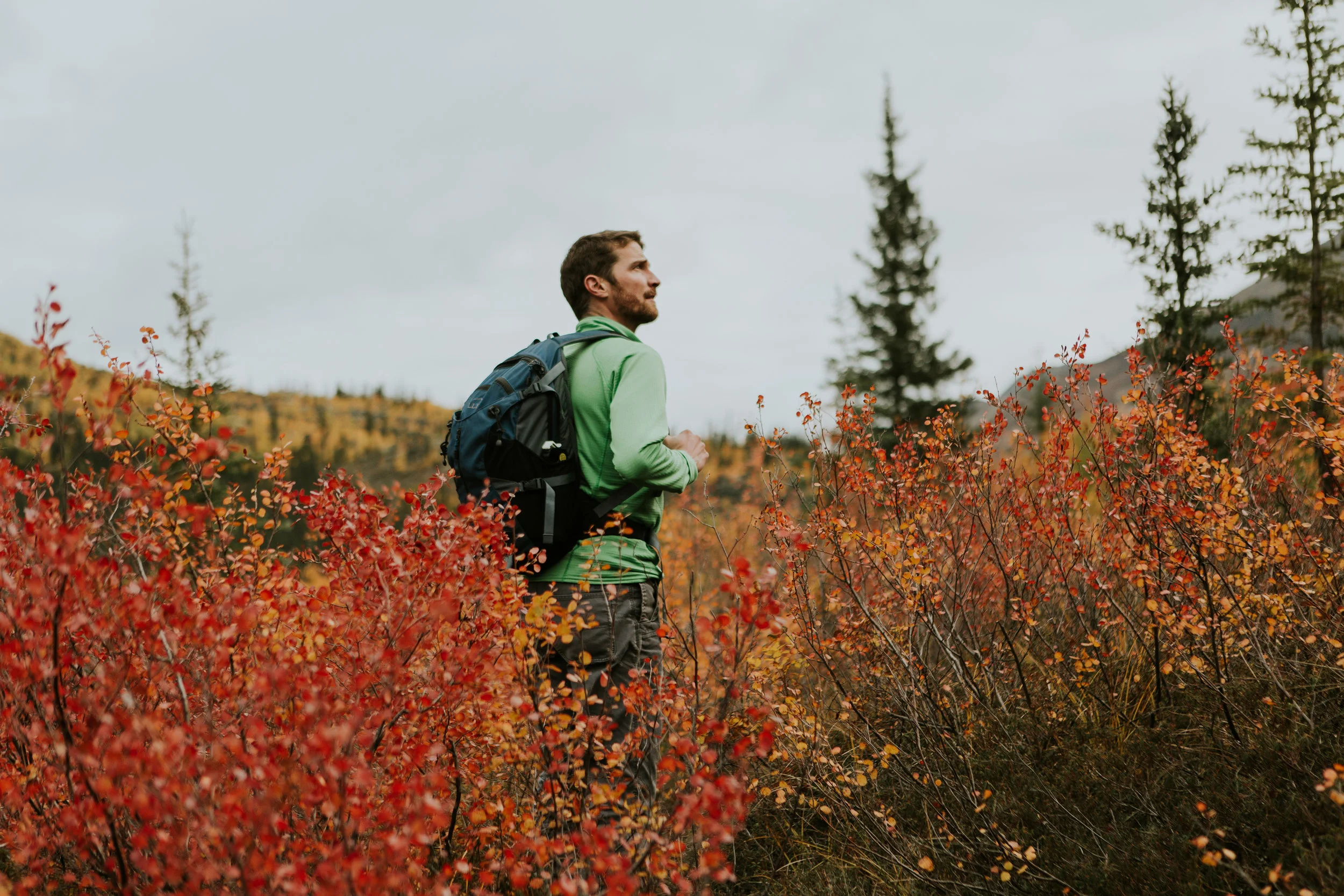 CindyGiovagnoli_Alaska_KoyukukRiver_SukakpakMountain_JimRiver_ArcticCircle_fly_fishing_September-033.jpg