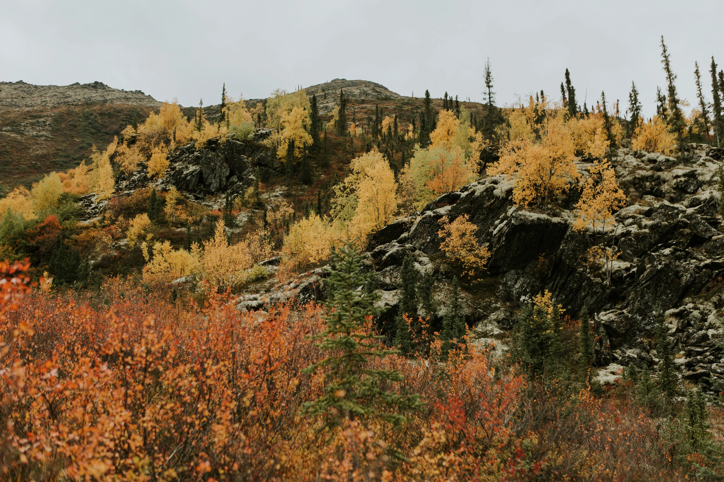 CindyGiovagnoli_Alaska_KoyukukRiver_SukakpakMountain_JimRiver_ArcticCircle_fly_fishing_September-035.jpg