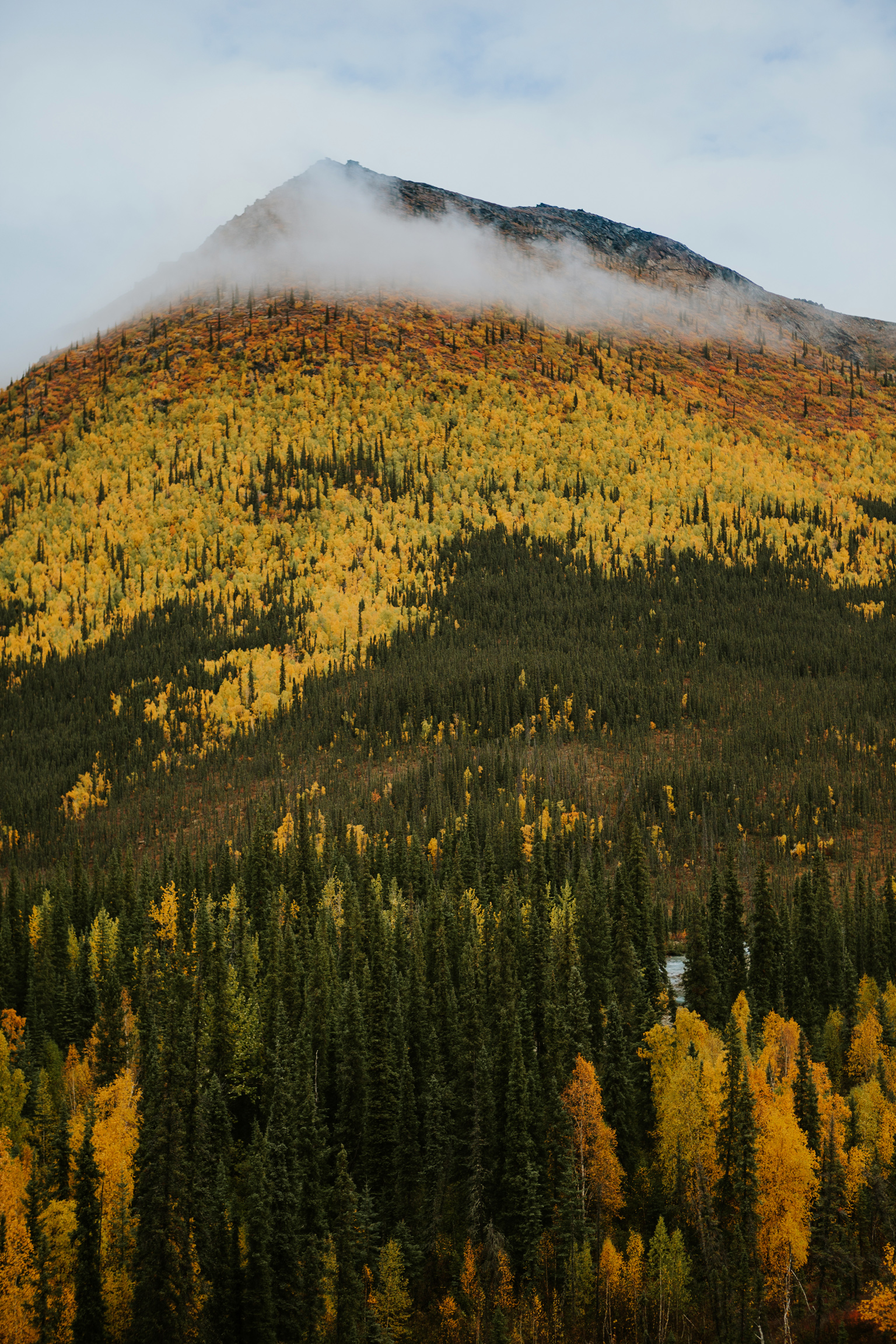 CindyGiovagnoli_Alaska_KoyukukRiver_SukakpakMountain_JimRiver_ArcticCircle_fly_fishing_September-032.jpg