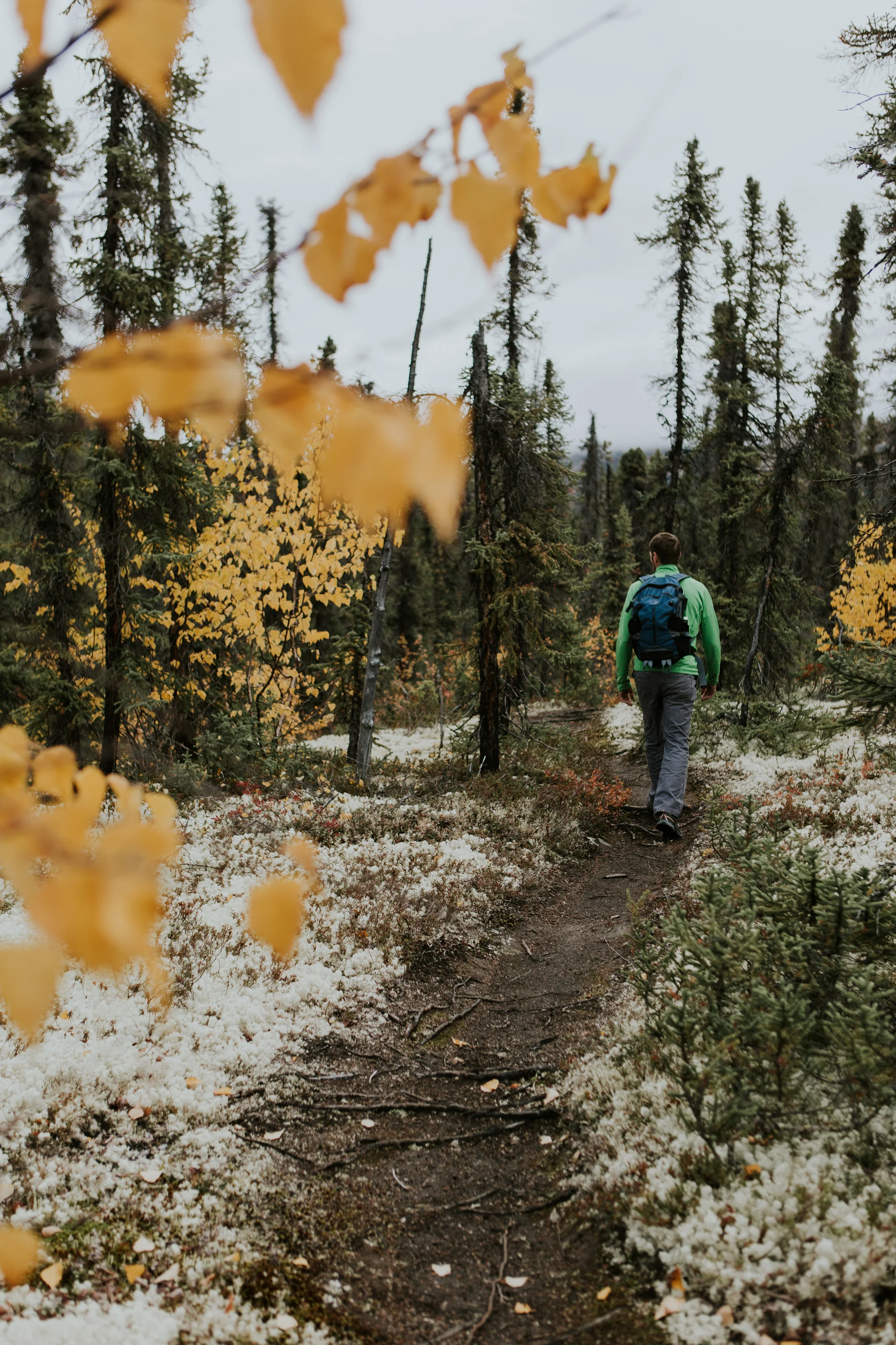 CindyGiovagnoli_Alaska_KoyukukRiver_SukakpakMountain_JimRiver_ArcticCircle_fly_fishing_September-037.jpg