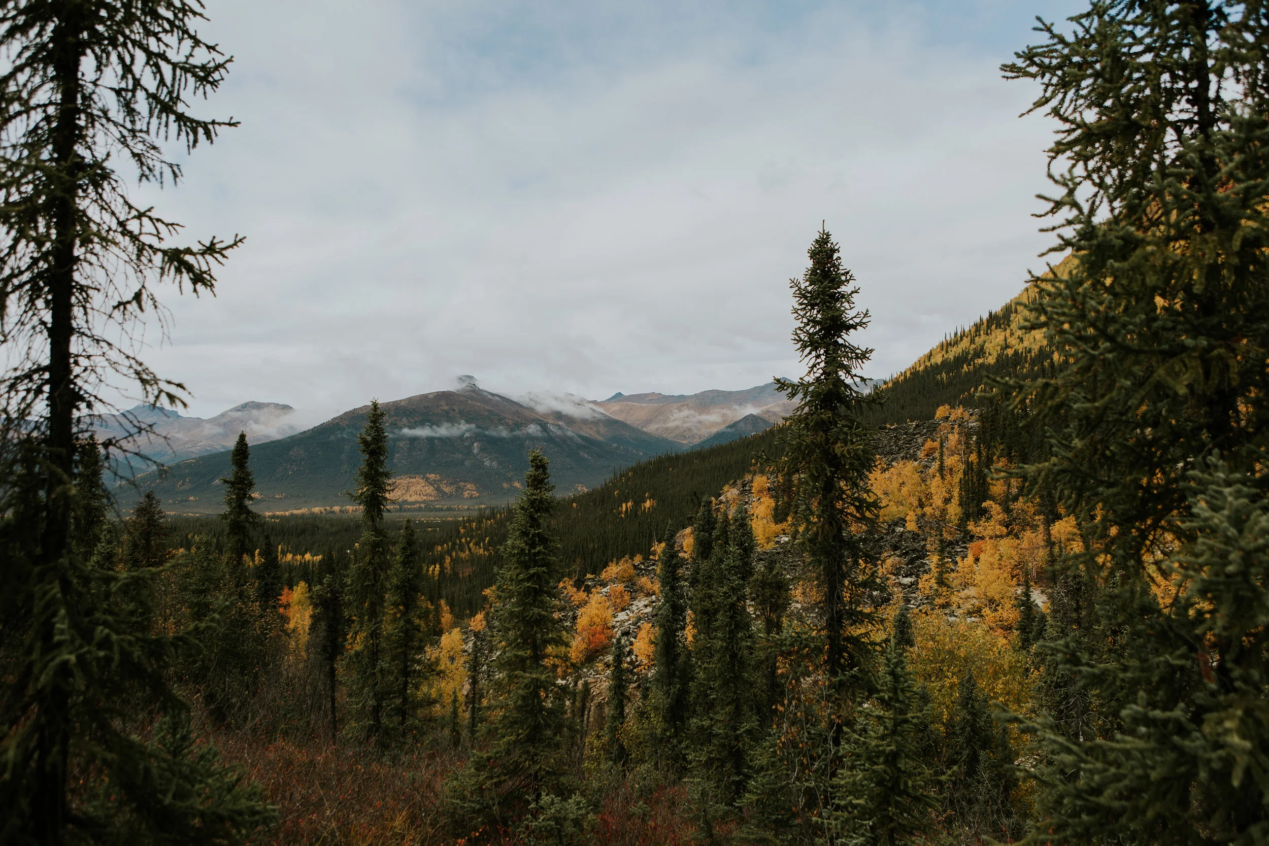 CindyGiovagnoli_Alaska_KoyukukRiver_SukakpakMountain_JimRiver_ArcticCircle_fly_fishing_September-040.jpg