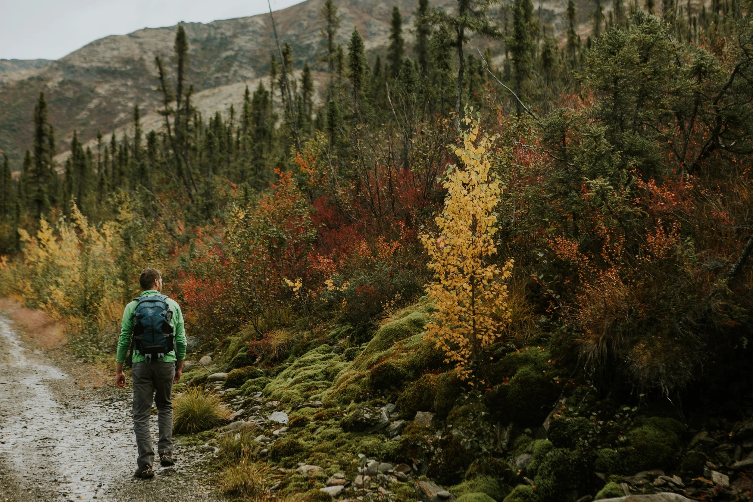 CindyGiovagnoli_Alaska_KoyukukRiver_SukakpakMountain_JimRiver_ArcticCircle_fly_fishing_September-039.jpg