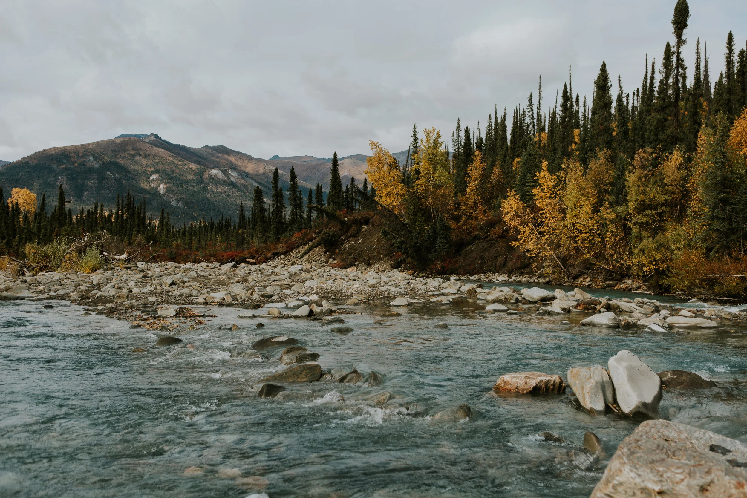 CindyGiovagnoli_Alaska_KoyukukRiver_SukakpakMountain_JimRiver_ArcticCircle_fly_fishing_September-043.jpg