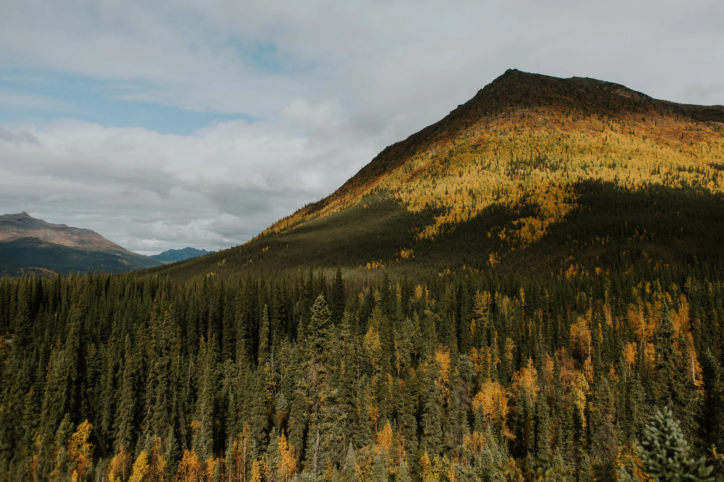 CindyGiovagnoli_Alaska_KoyukukRiver_SukakpakMountain_JimRiver_ArcticCircle_fly_fishing_September-045.jpg