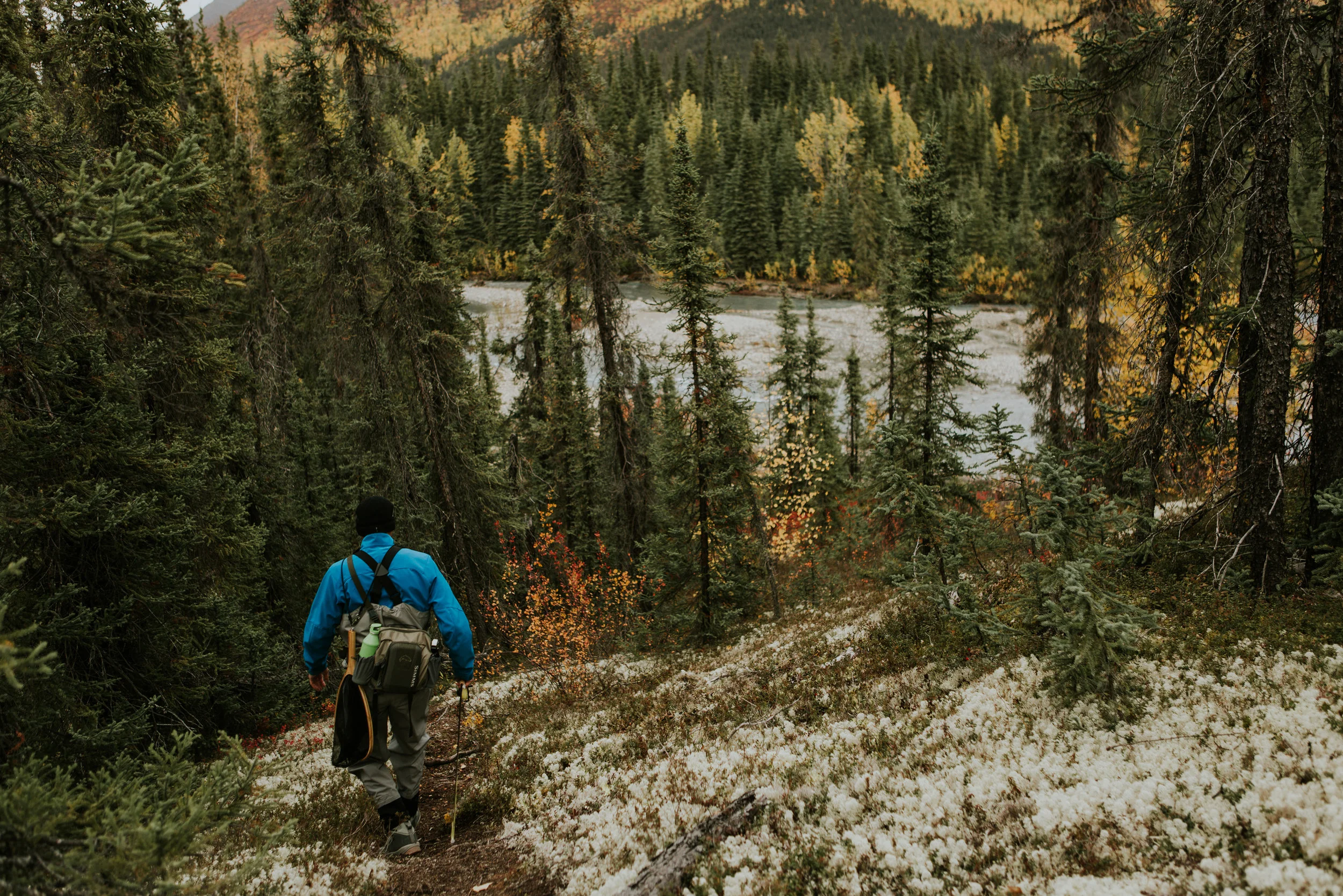 CindyGiovagnoli_Alaska_KoyukukRiver_SukakpakMountain_JimRiver_ArcticCircle_fly_fishing_September-050.jpg
